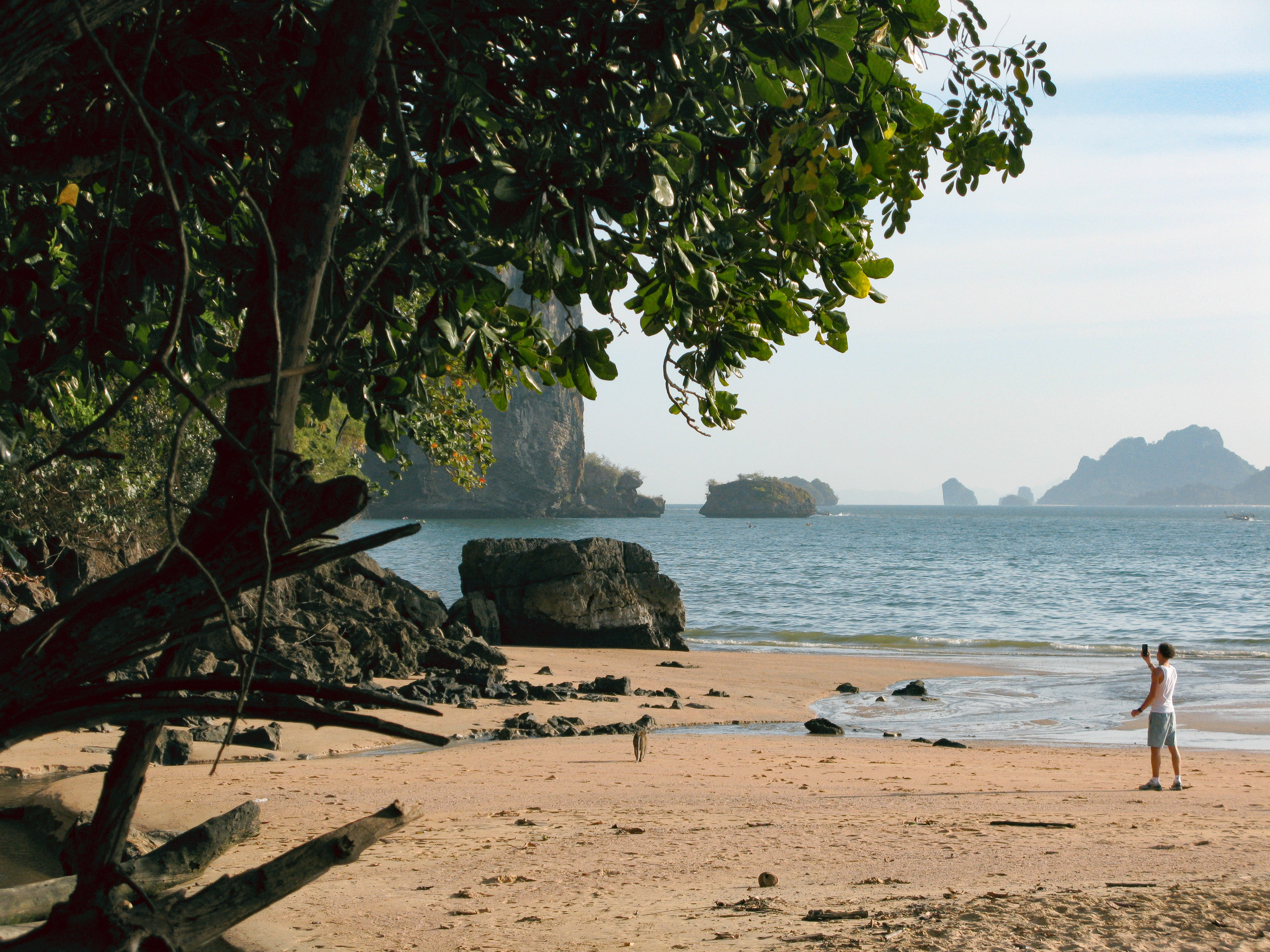 Thai. Фотограф Миланазавр