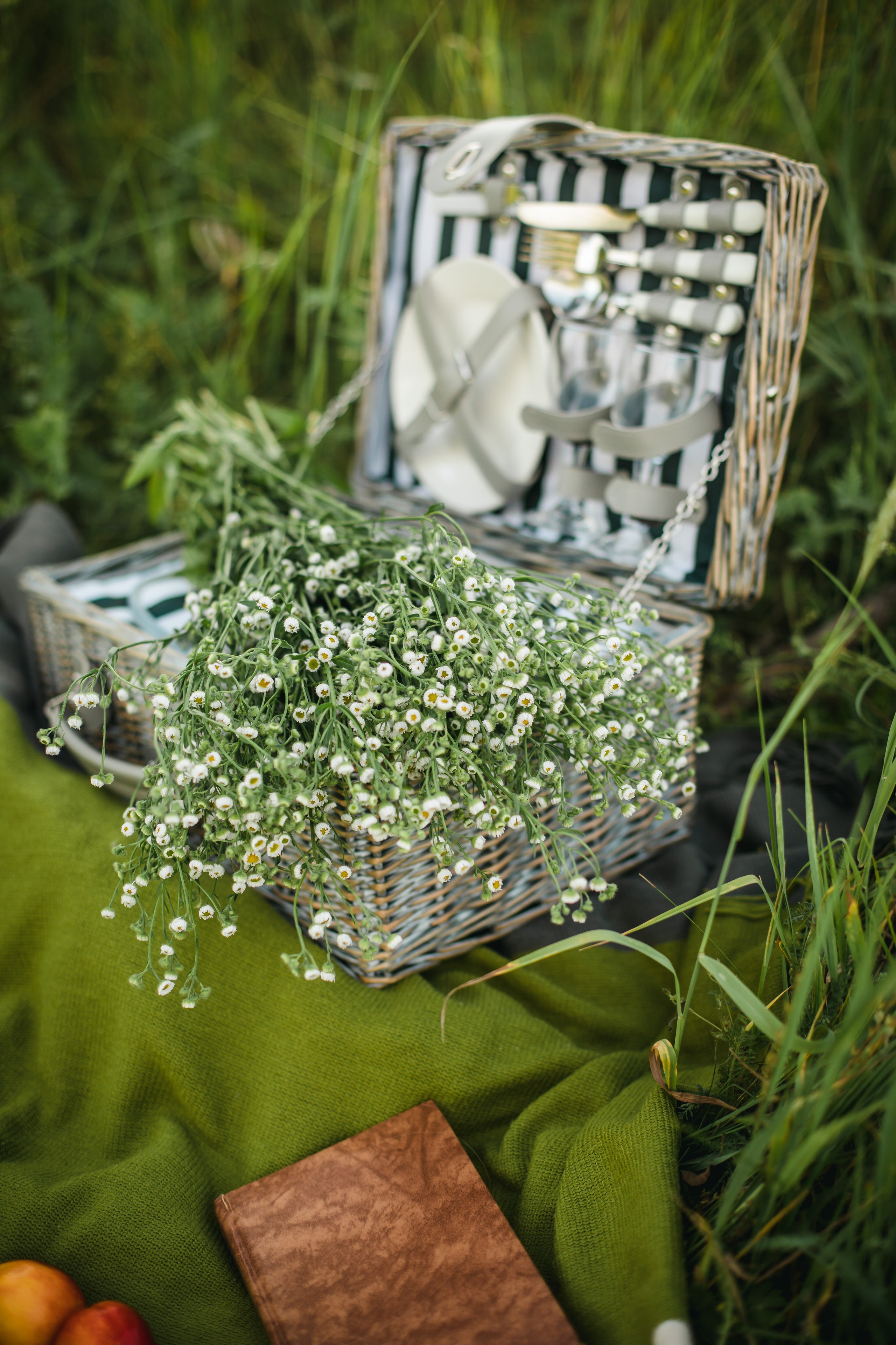 Нотки Тосканы. Olga.filippova.photo