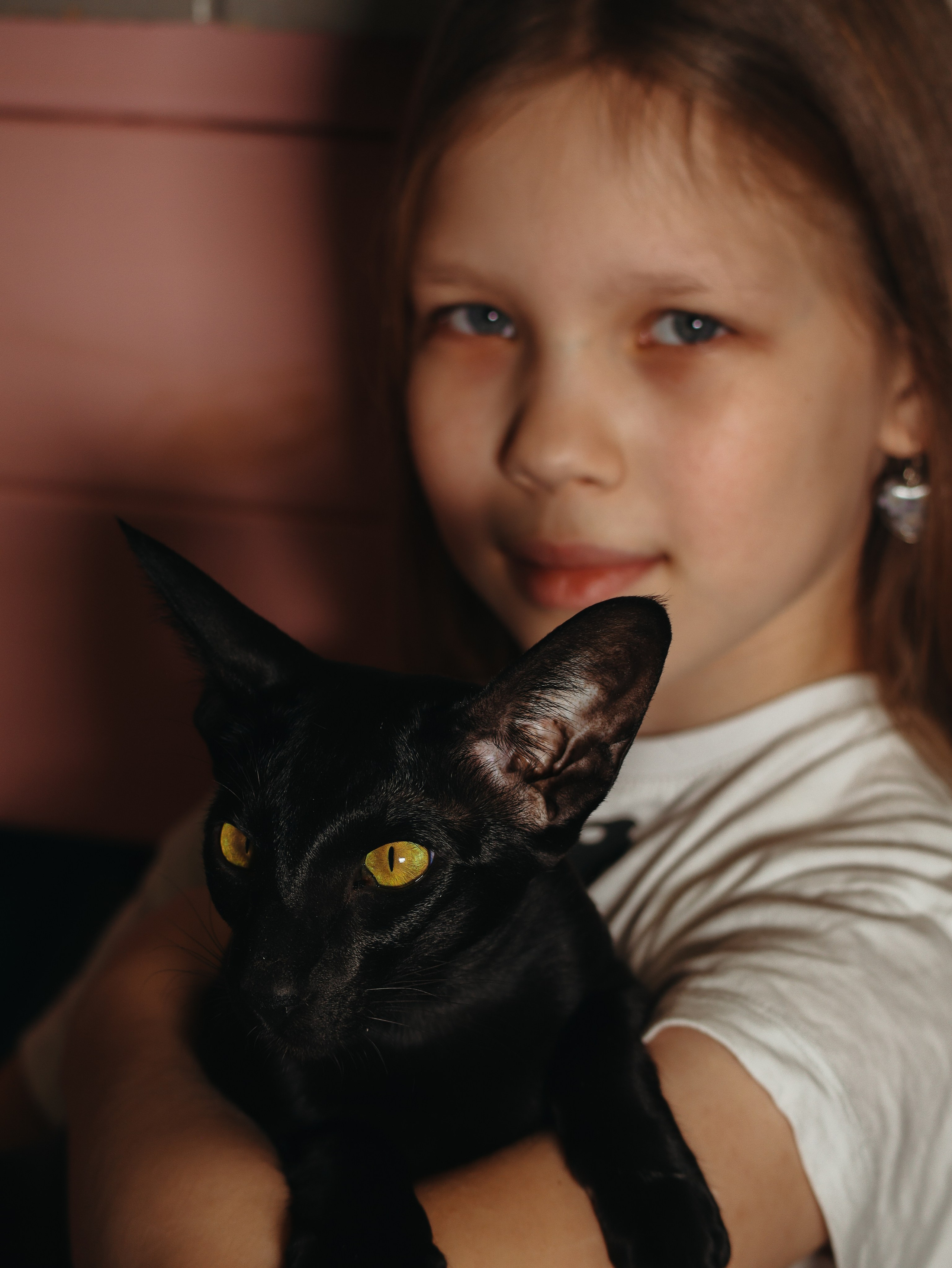 Питомцы. Кинематографичный фотограф, видеограф Лина Плешакова, Санкт-Петербург