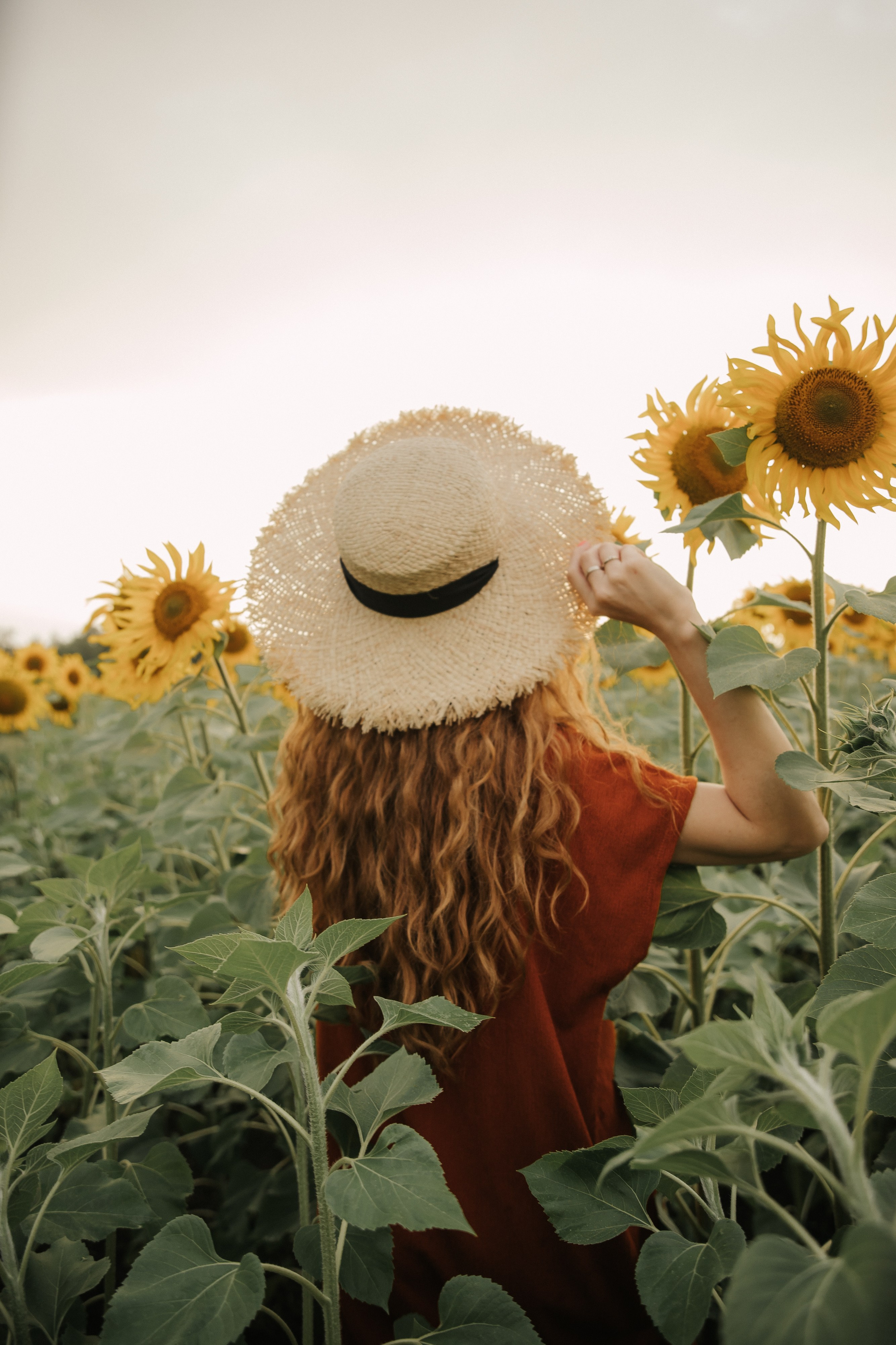 Лена и подсолнухи. Семейный и свадебный фотограф в Челябинске Юлия Софьина