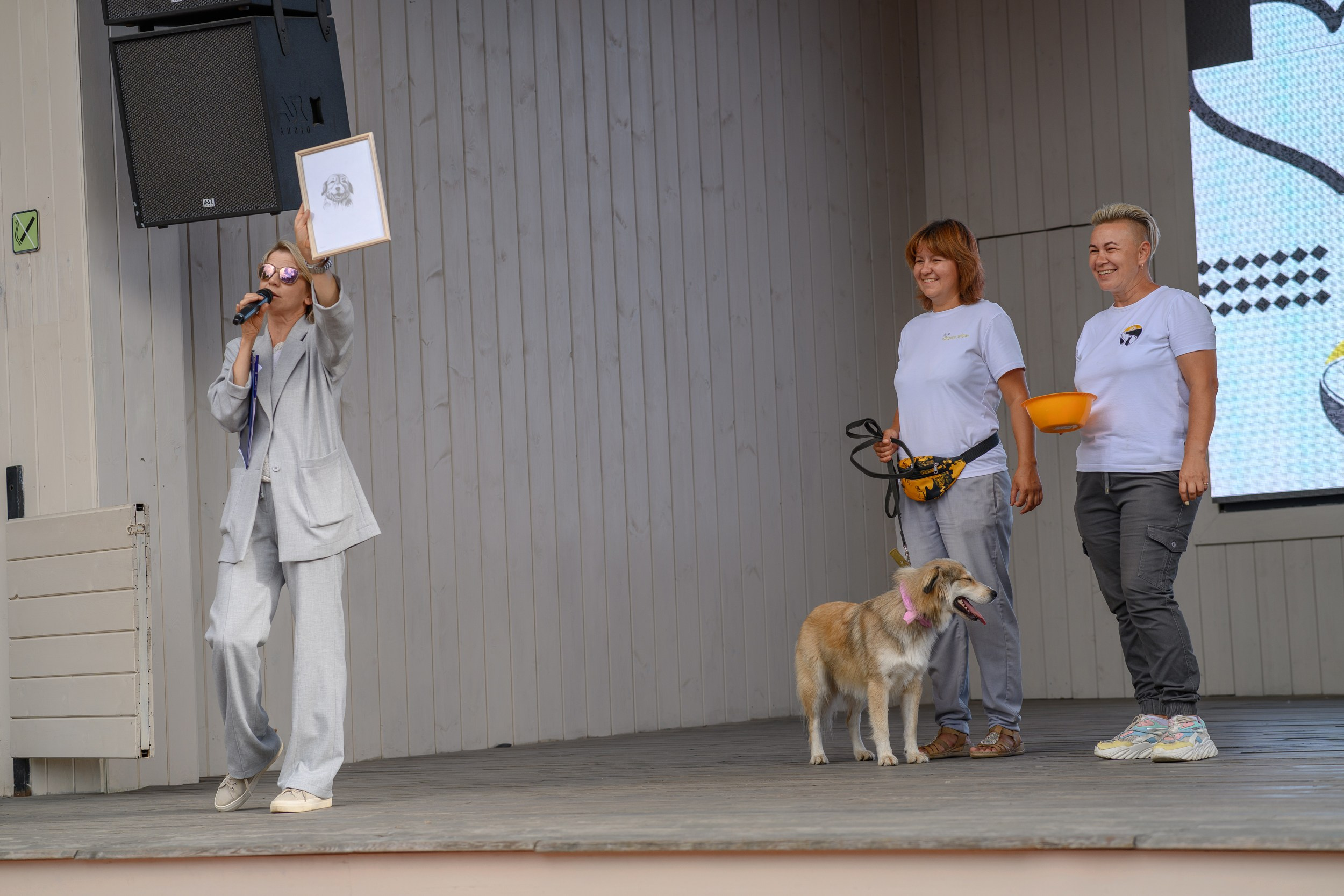 СобачийФест_РынокНаГоре_10082024. Фотограф Александр Данилов