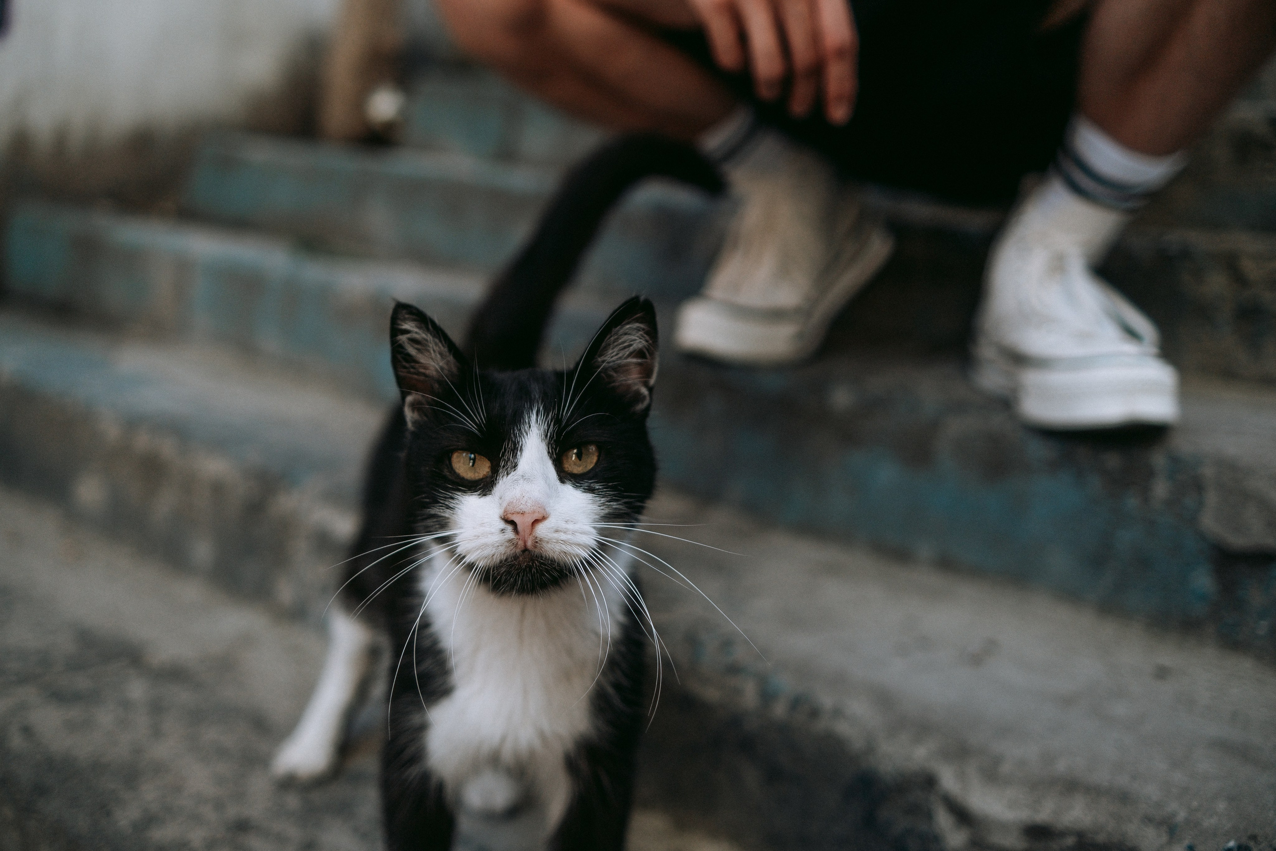 Стрит. Фотограф Валентина Кондрасюк в Санкт-Петербурге