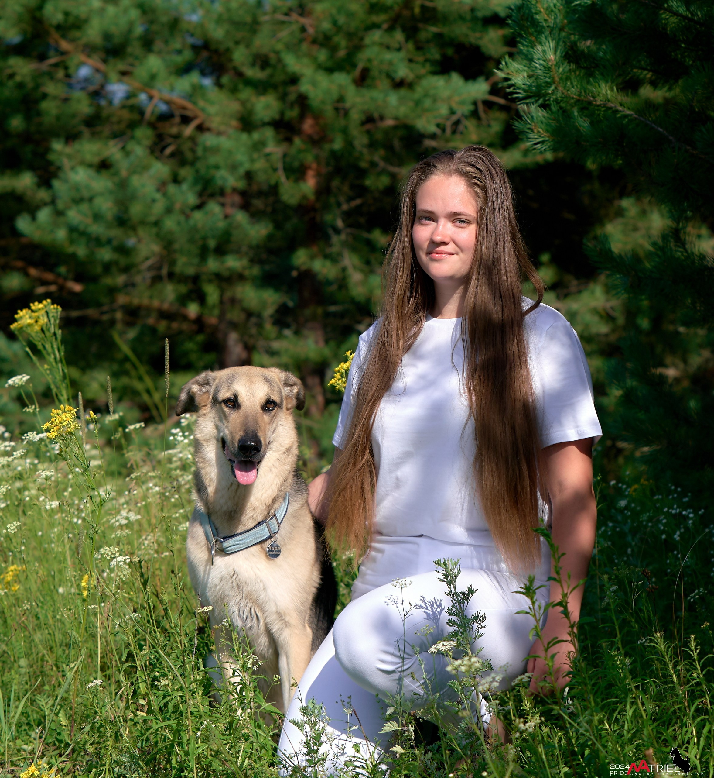 Репортаж из кинологического лагеря