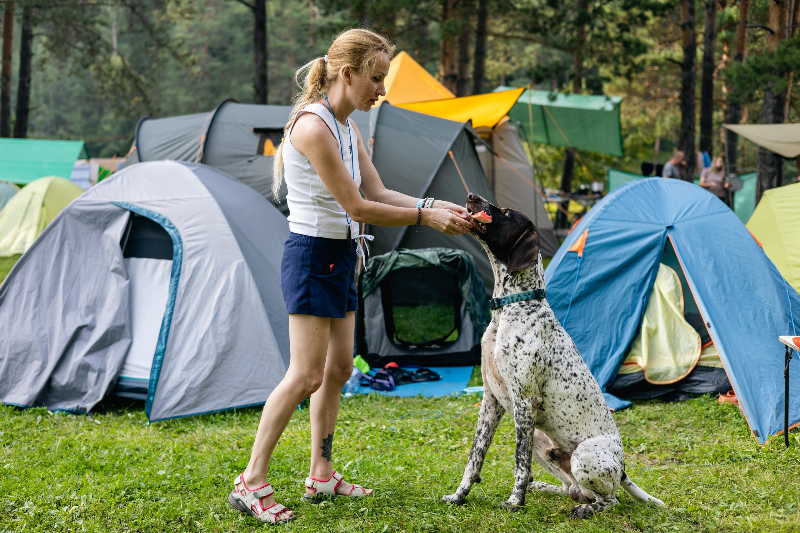 VI ОТКРЫТЫЕ КИНОЛОГИЧЕСКИЕ СОРЕВНОВАНИЯ. ЧЕЛЯБИНСКАЯ ОБЛАСТЬ 2025. Репортажный фотограф Наталья Лапцевич
