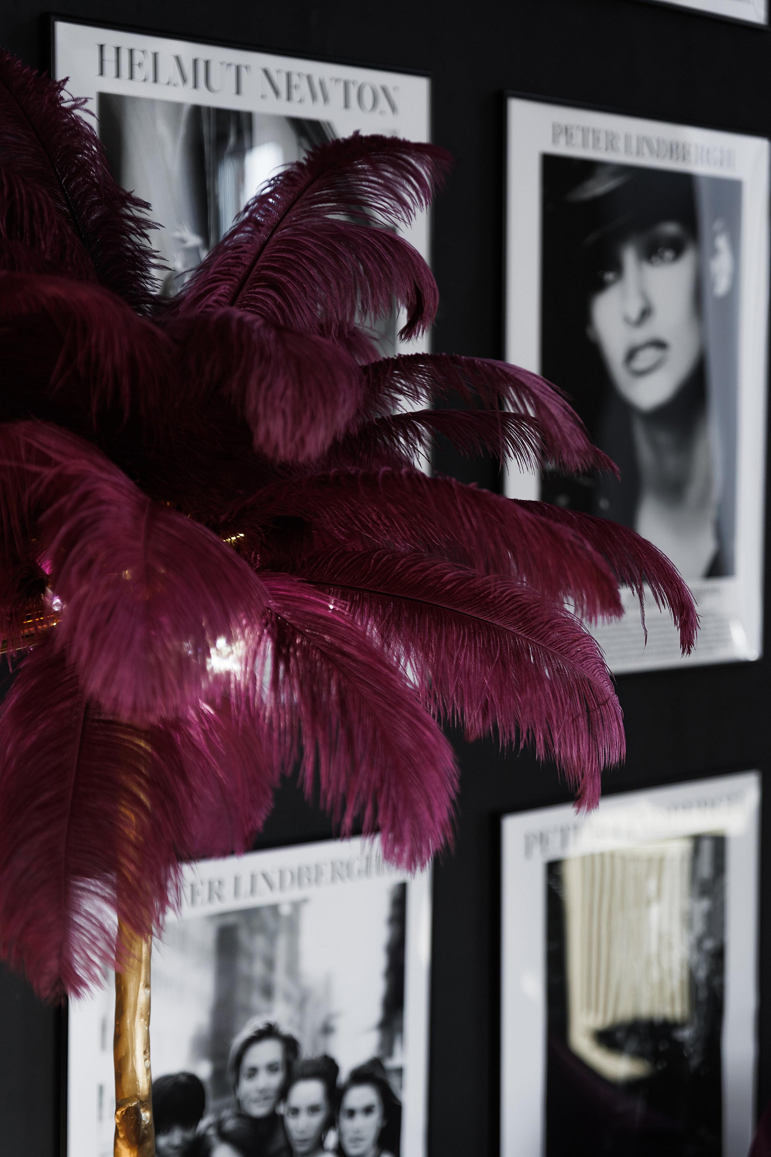 Дом (Большой зал) (Калинина, 189а). Портретный, семейный, свадебный фотограф в Брянске Маргарита Василькова