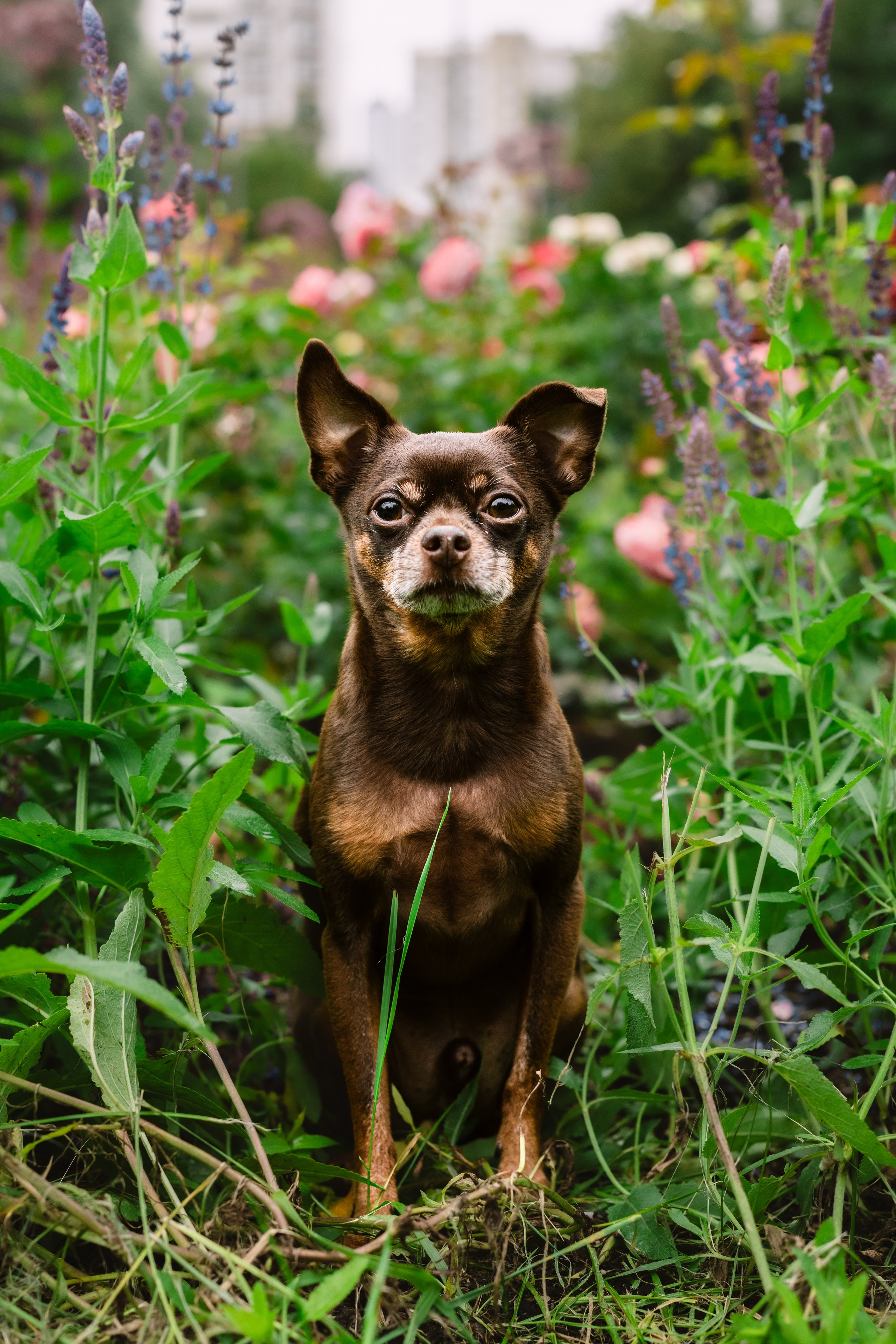 Юля и Леонид. Фотограф-анималист Татьяна Степанова