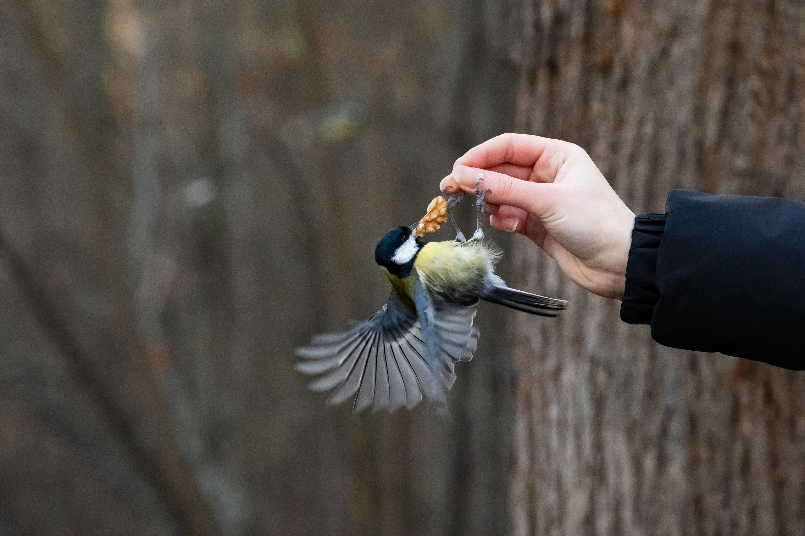 Красота Заречного. Репортажный, семейный и детский фотограф в Пензе и Заречном Арина Ермилова. Картины барельеф на заказ