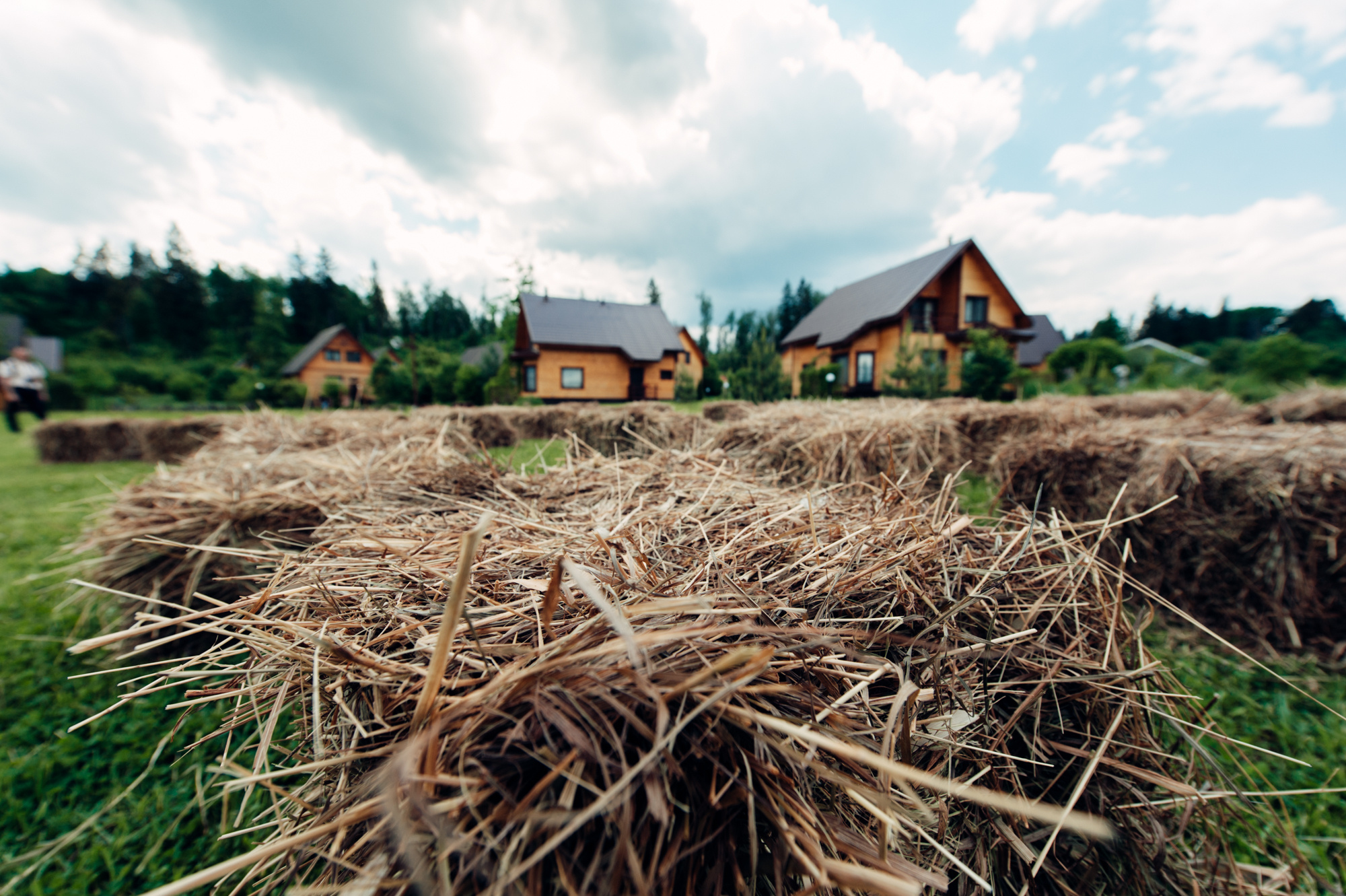 Владимир и Анастасия. Свадебный фотограф в Москве Алексей Тук