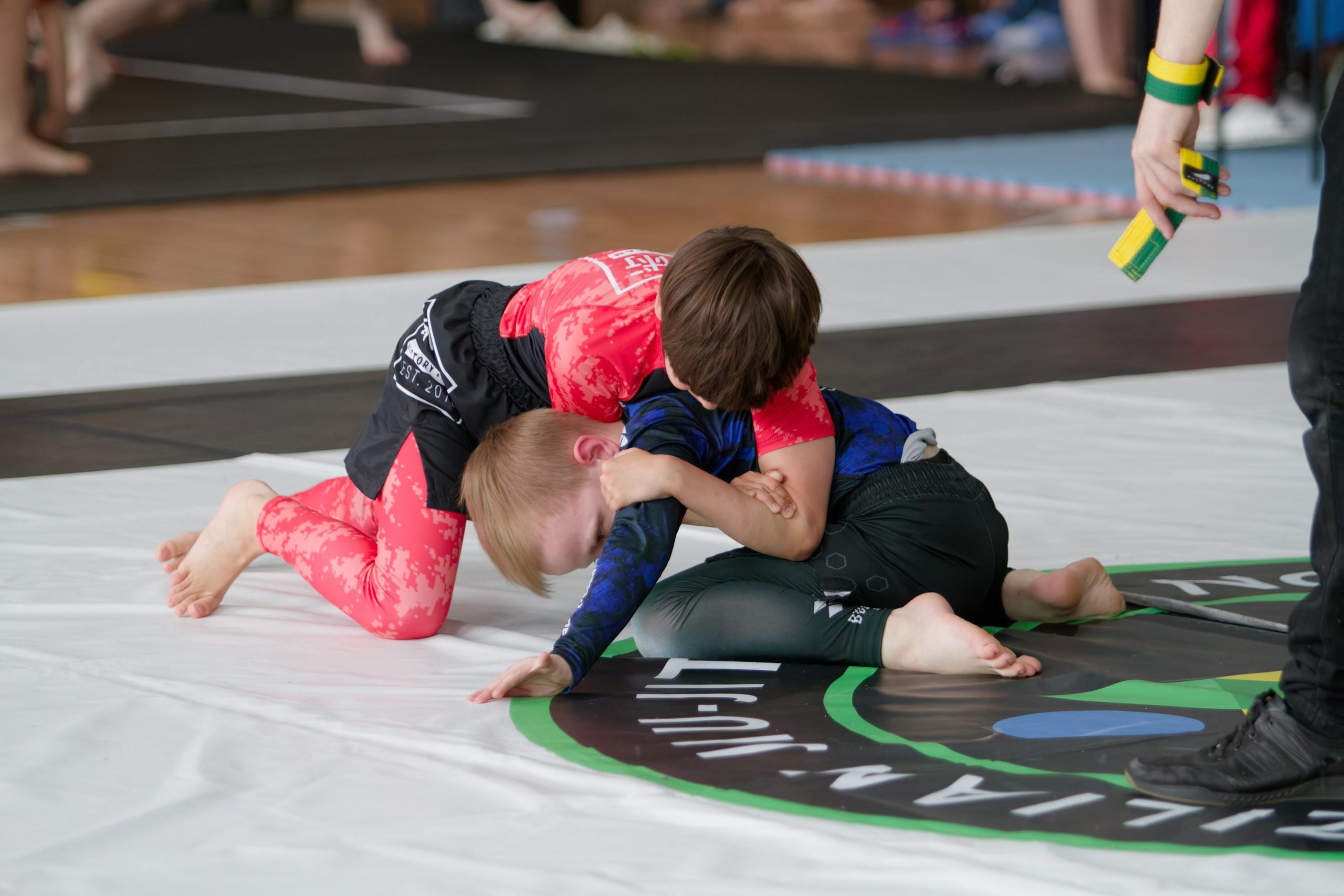 Борьба. Джиу-джитсу 26.04.2025. Репортажный и спортивный фотограф в г. Пермь Зильберг Павел