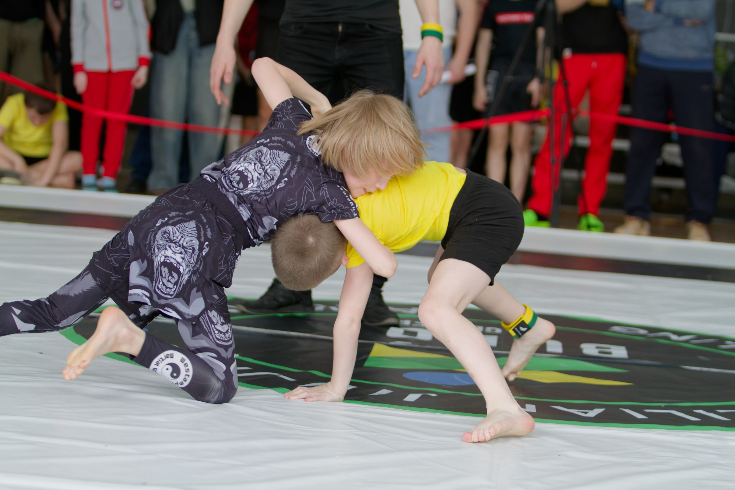 Борьба. Джиу-джитсу 26.04.2025. Репортажный и спортивный фотограф в г. Пермь Зильберг Павел