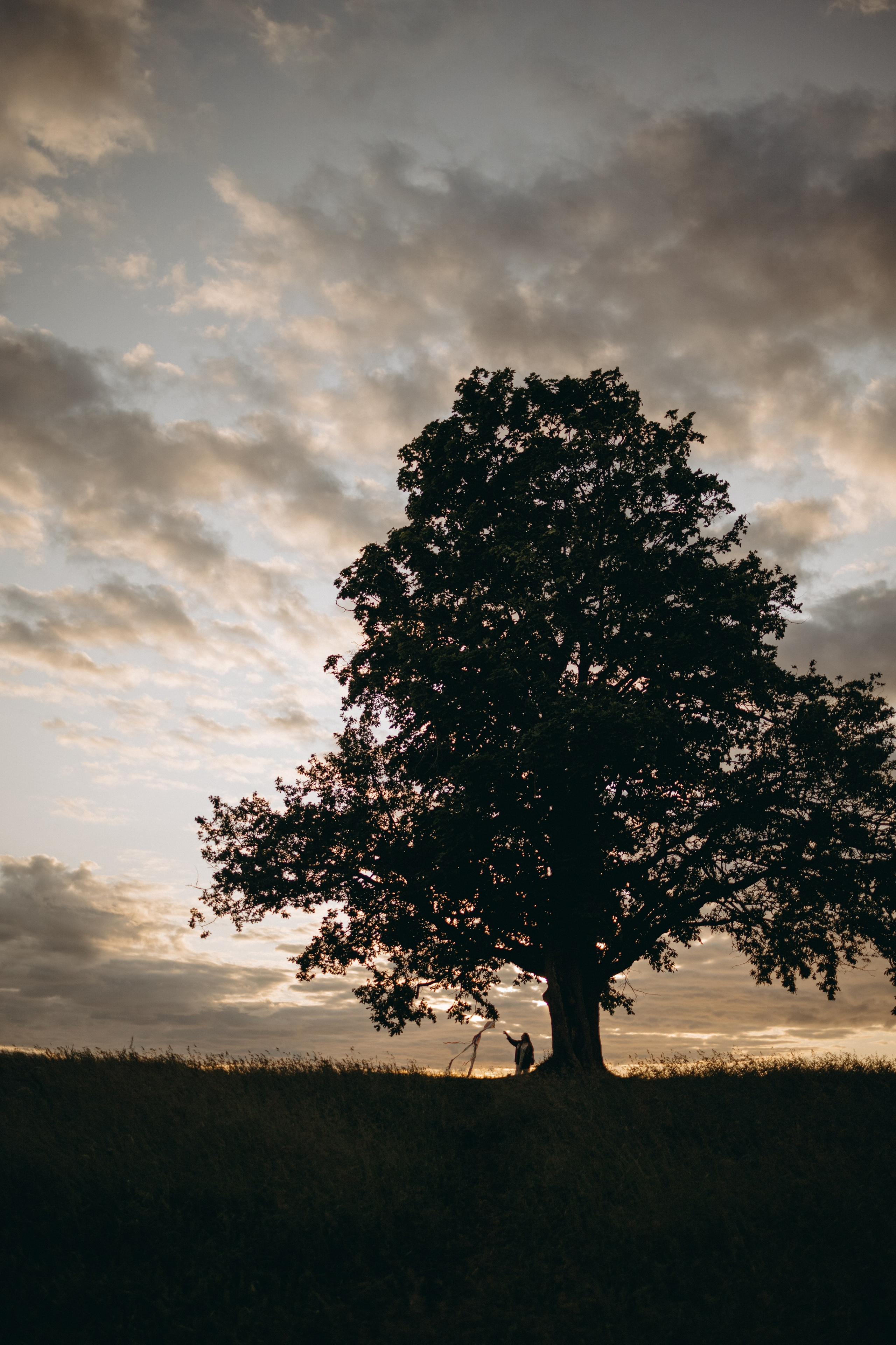 Анна и Максимус. Фотограф — Анималист | Санкт-Петербург