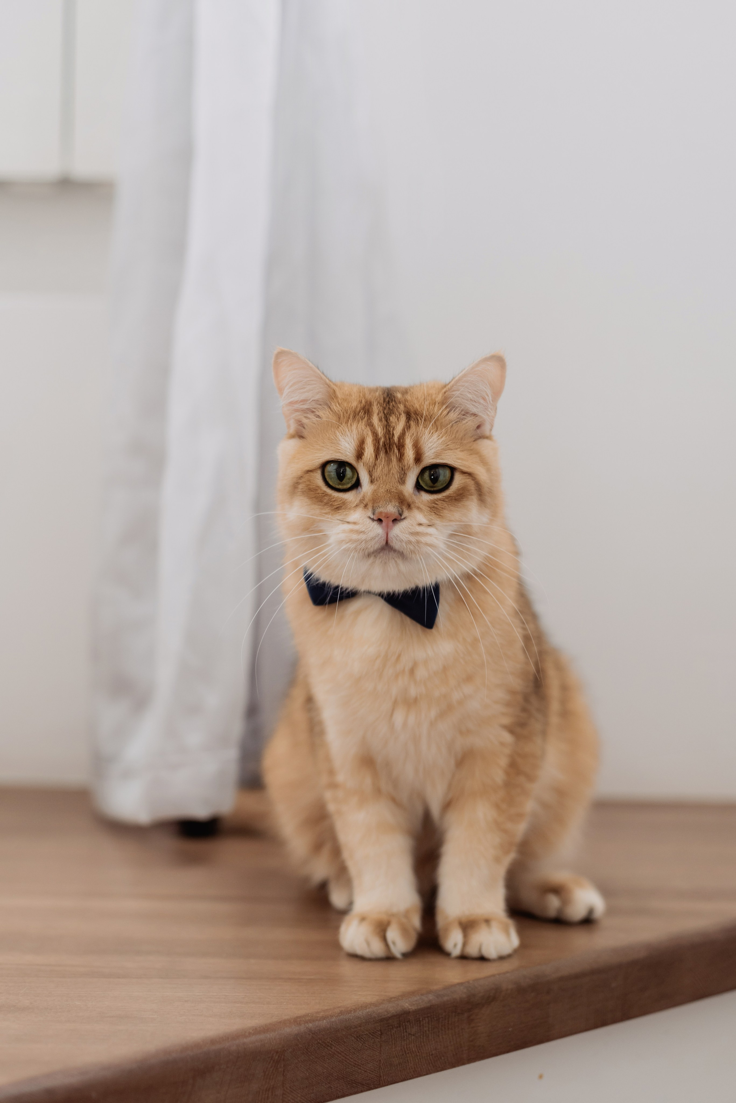 Elena & Vyacheslav. ФОТОГРАФ ИРИНА ШАМАТАВА