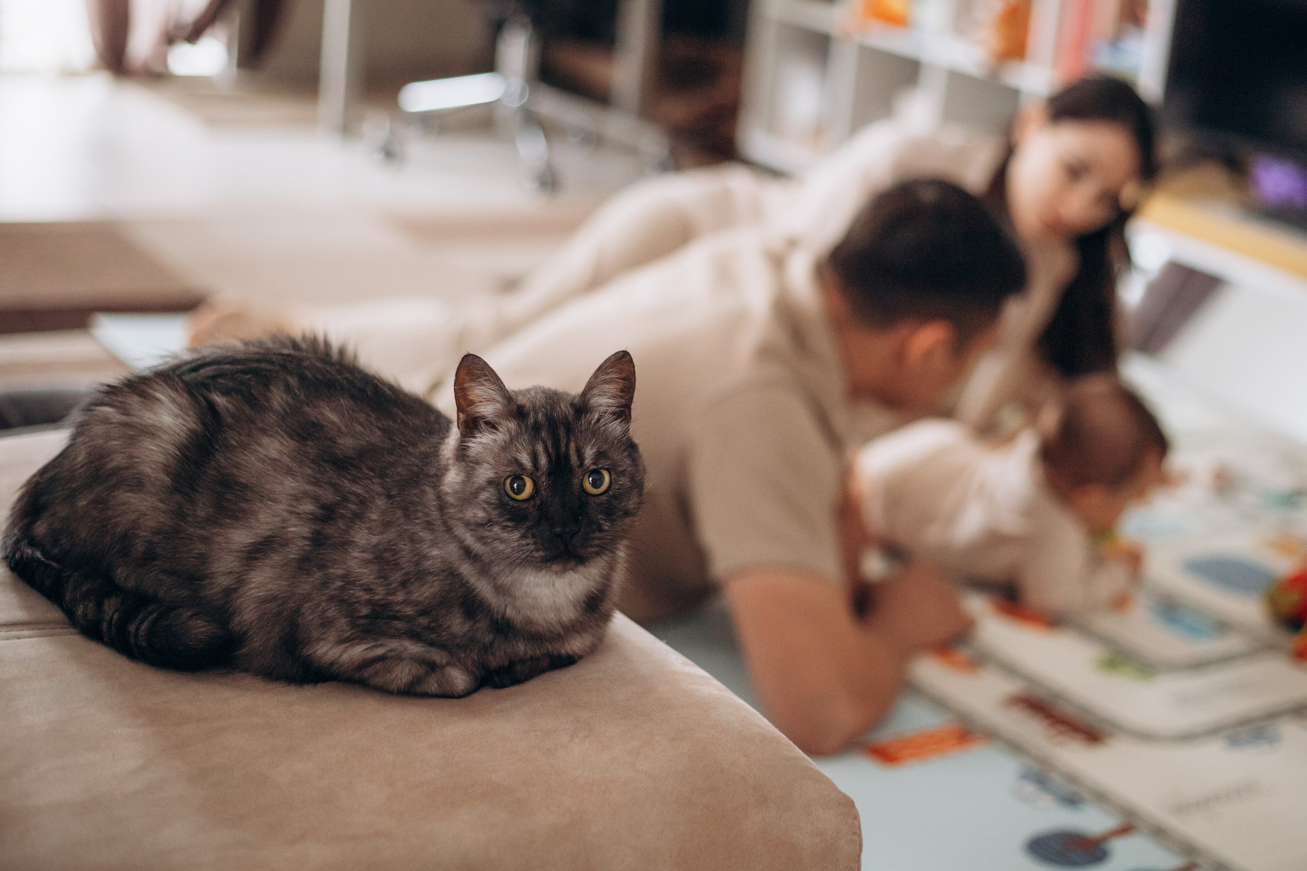 Семья Татьяны и Ильи. Семейный и детский фотограф в г. Новосибирске Макеева Анастасия
