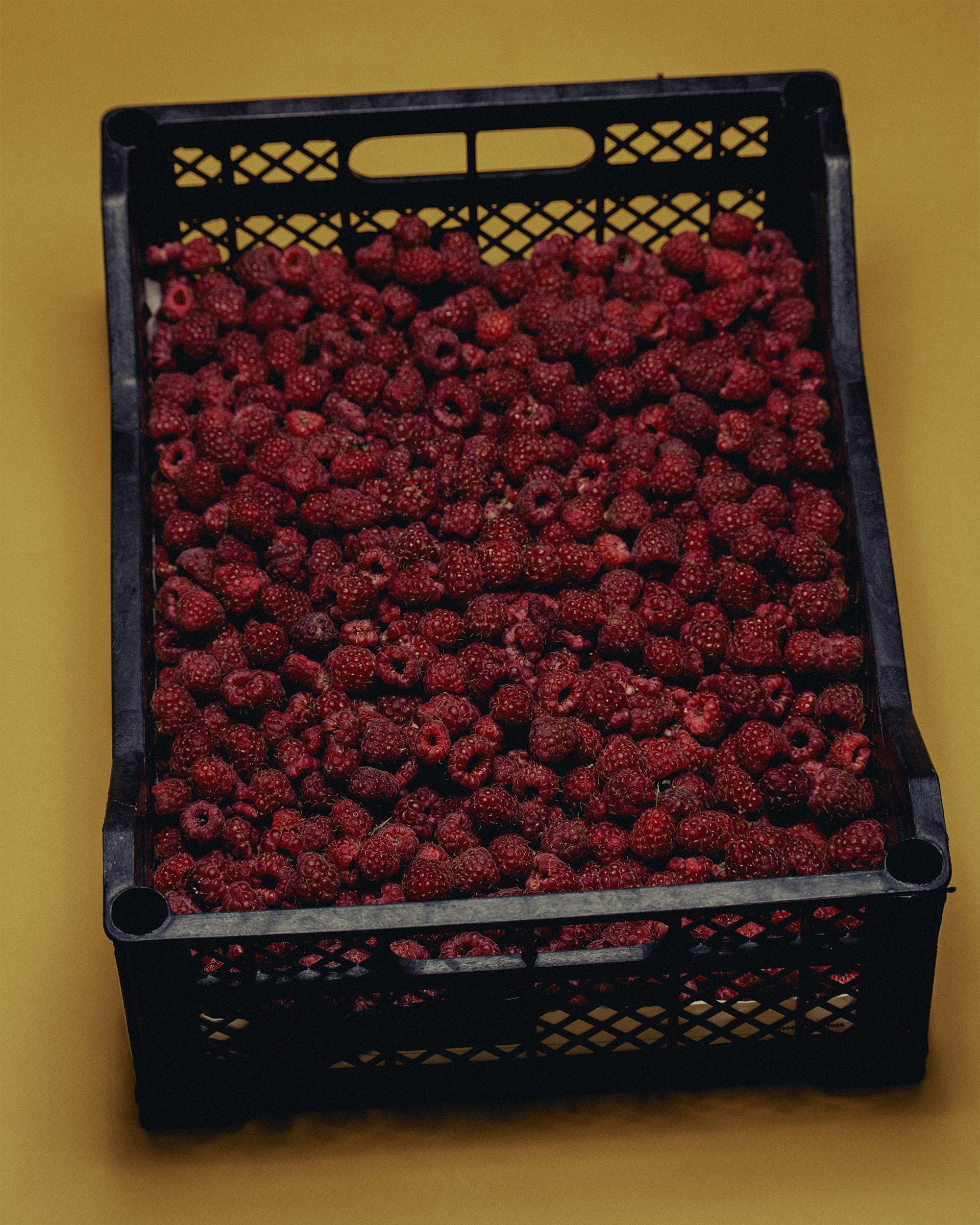 30&nbsp;— HOME MACARON