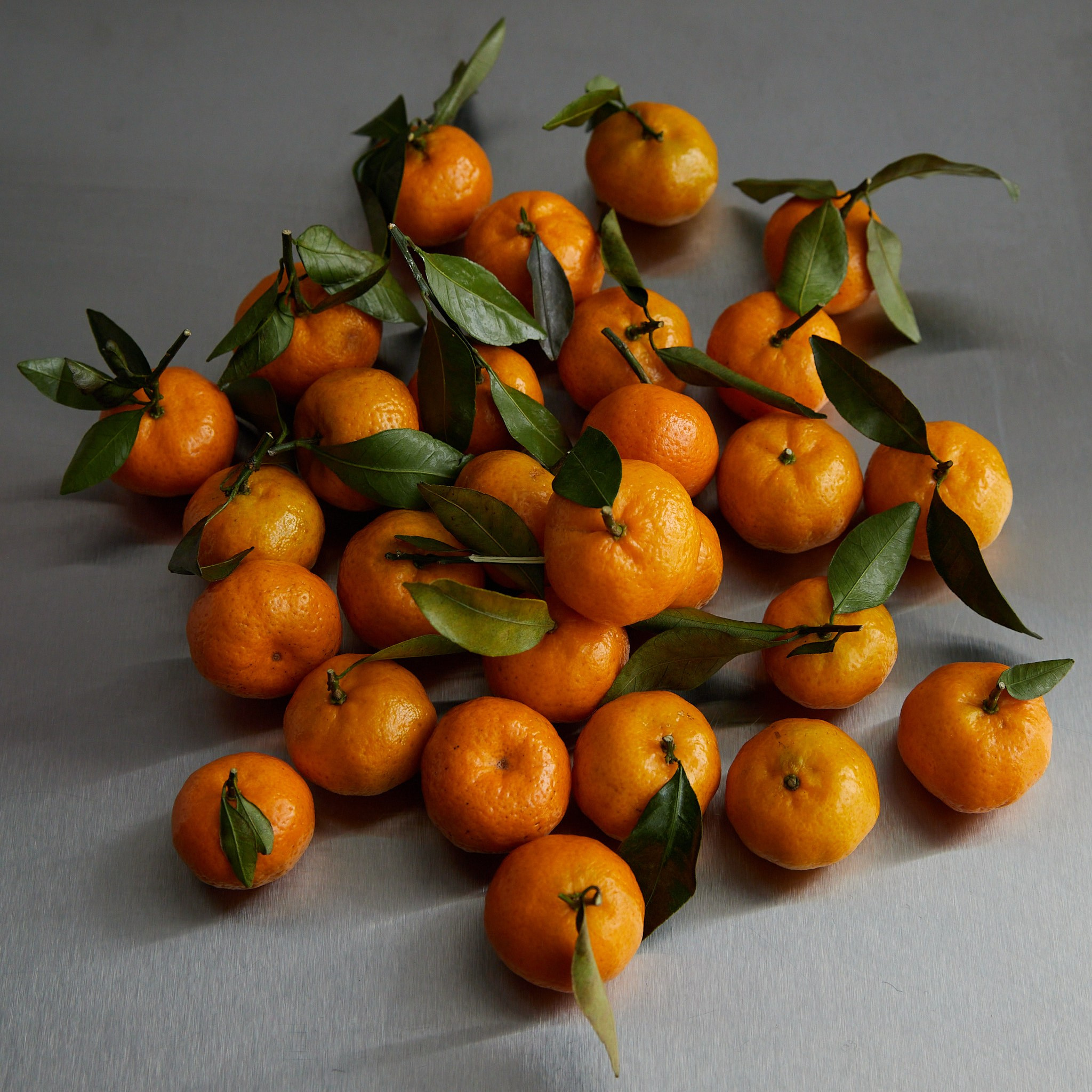 Свадебный и портретный контент фотограф Элиста Калмыкия Эрдни Панчуров 