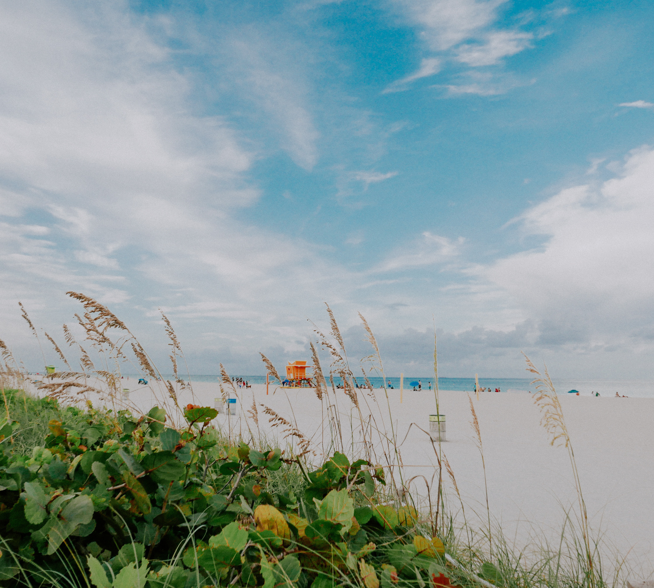Майами. Фотограф в Москве Гончарова Анастасия