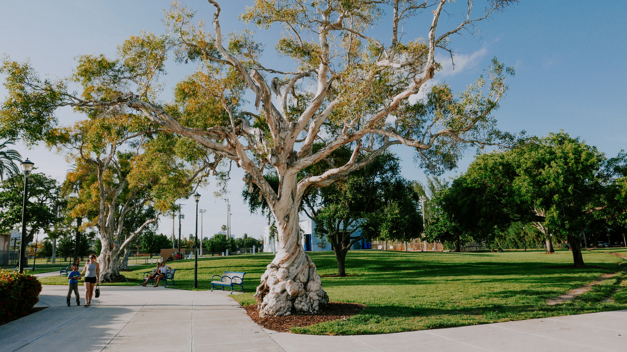 Майами. Фотограф в Москве Гончарова Анастасия