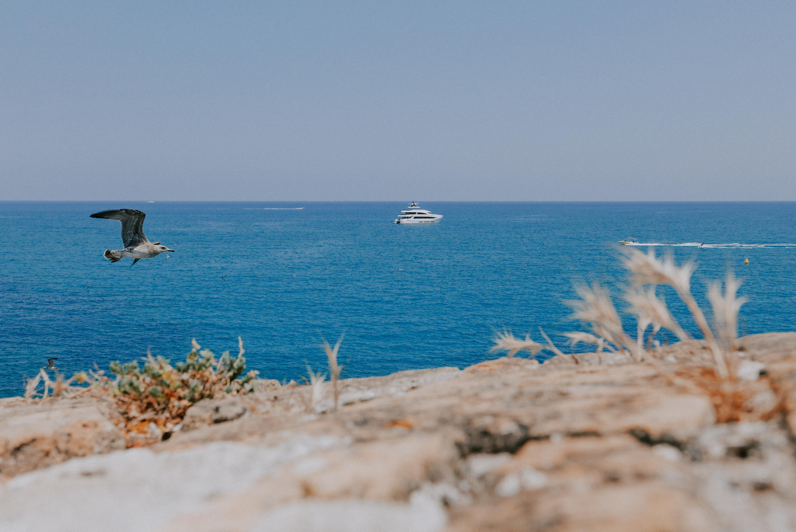 Франция, Монако, Италия. Фотограф в Москве Гончарова Анастасия