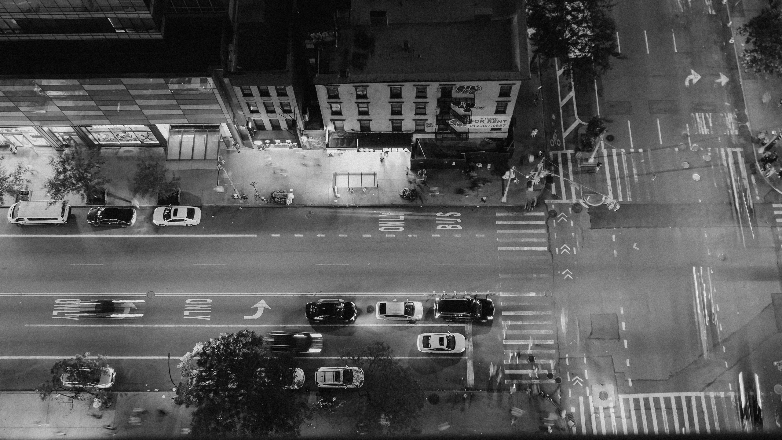 Нью-Йорк. Фотограф в Москве Гончарова Анастасия