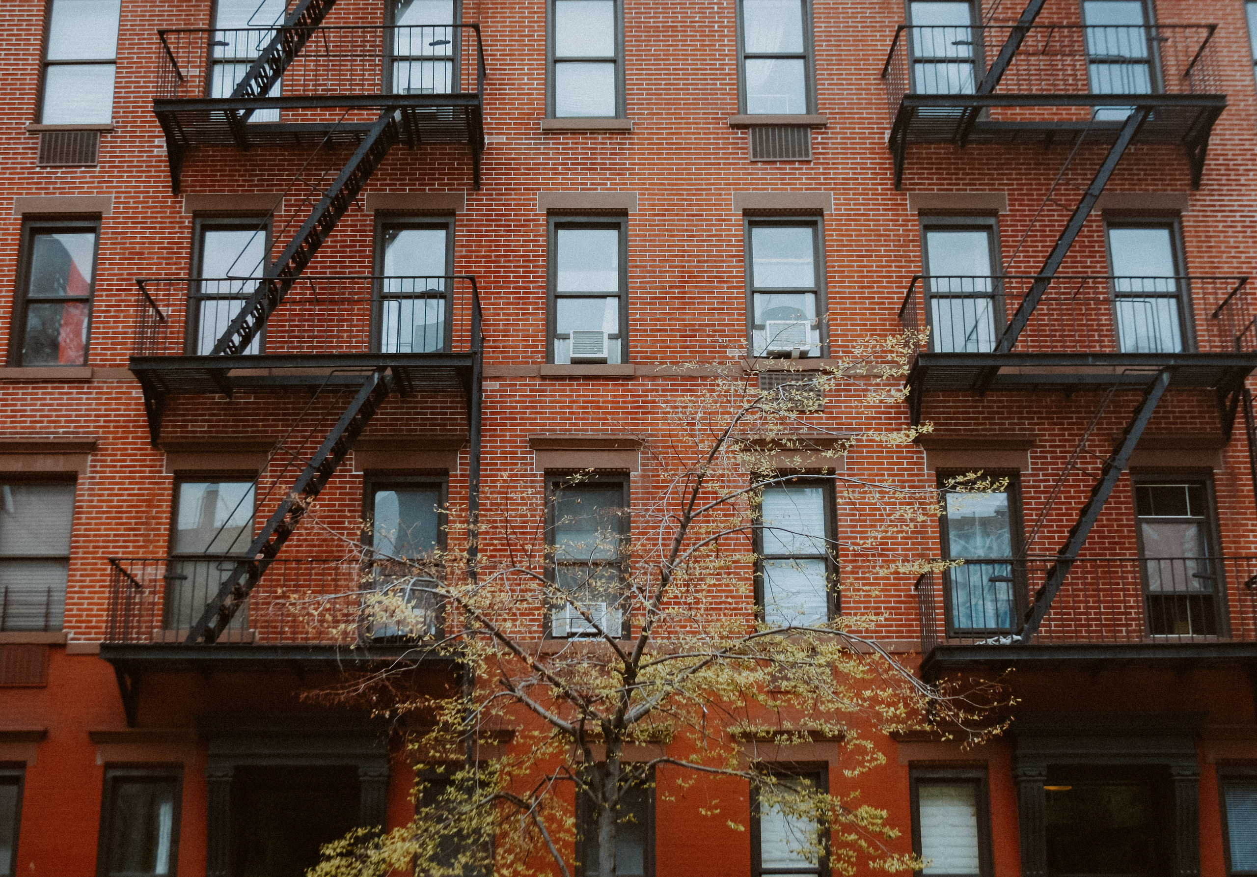 Нью-Йорк. Фотограф в Москве Гончарова Анастасия