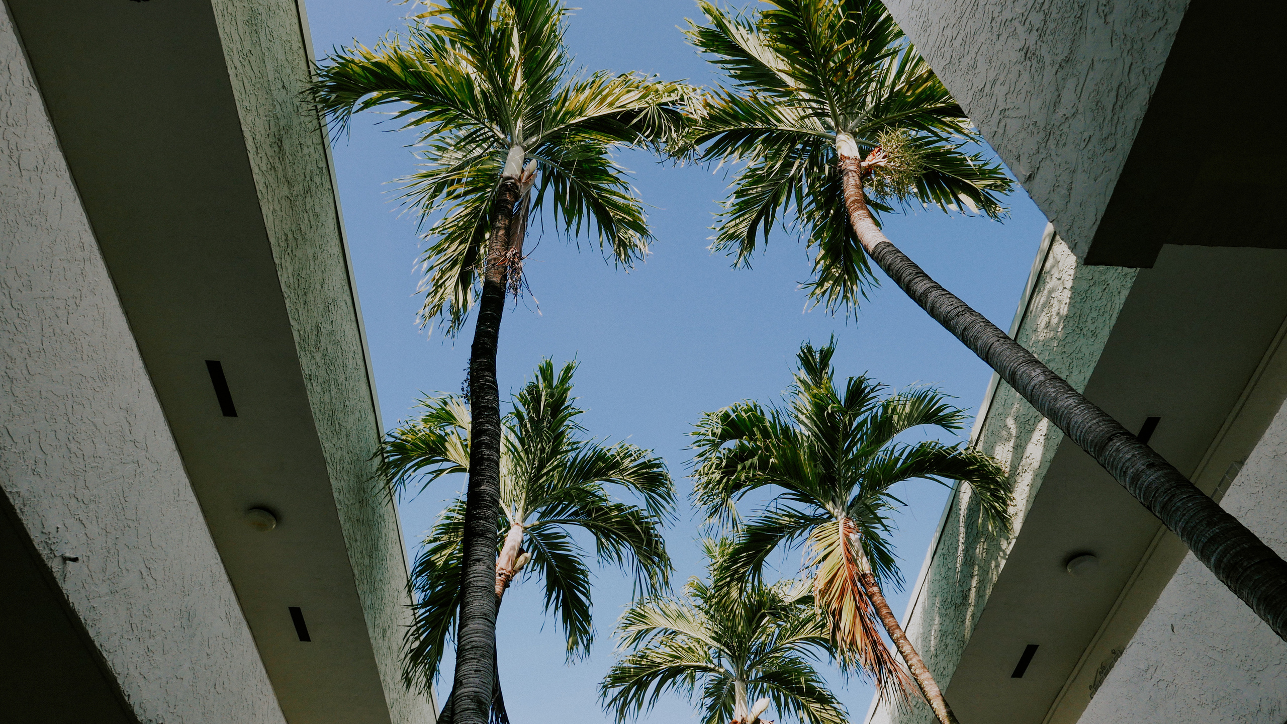 Майами. Фотограф в Москве Гончарова Анастасия