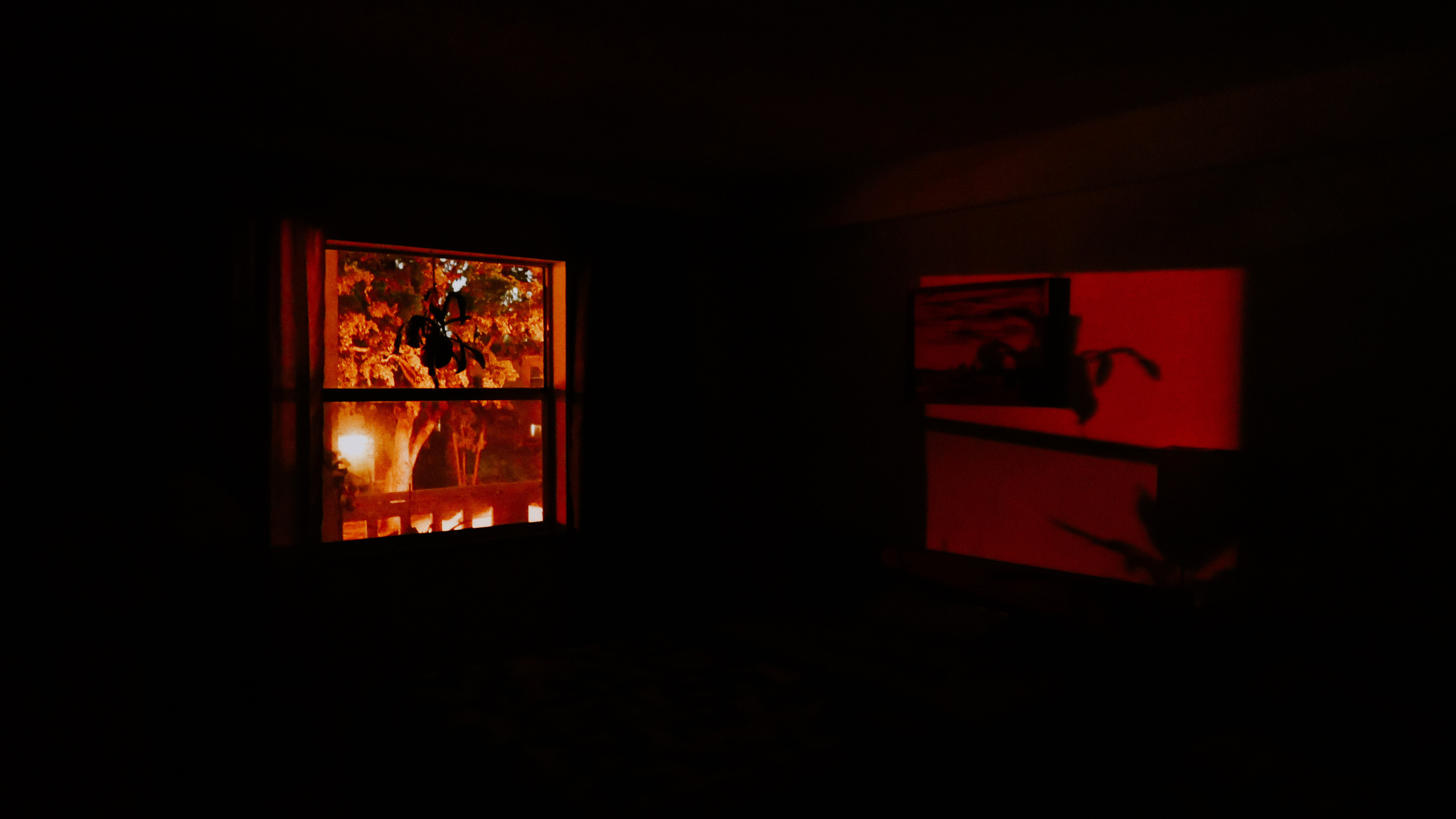 Майами. Фотограф в Москве Гончарова Анастасия