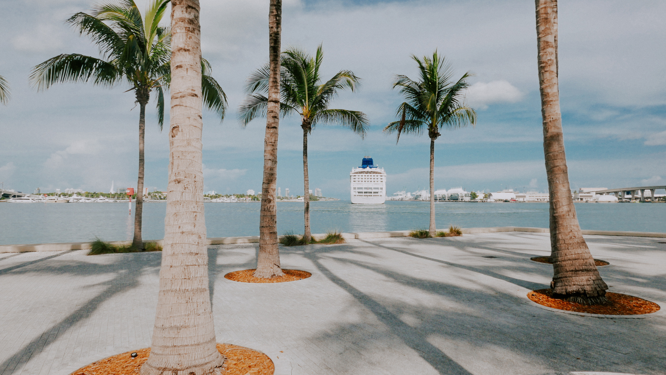 Майами. Фотограф в Москве Гончарова Анастасия