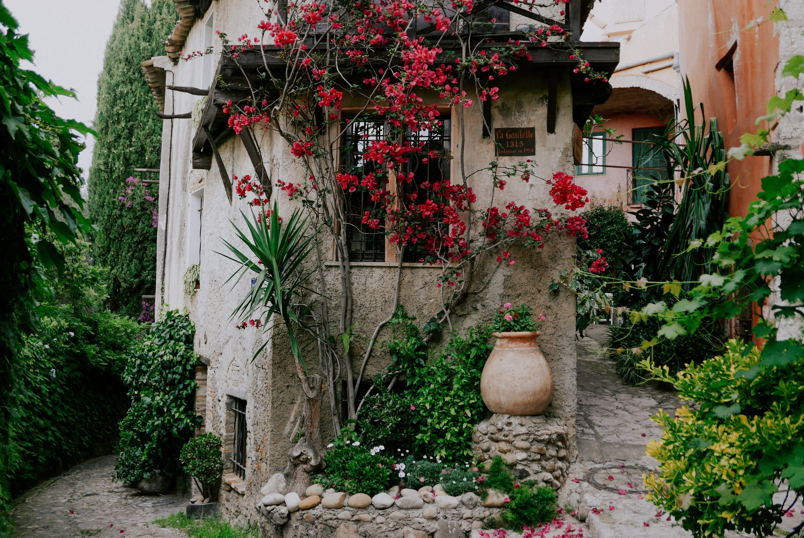 Франция, Монако, Италия. Фотограф в Москве Гончарова Анастасия
