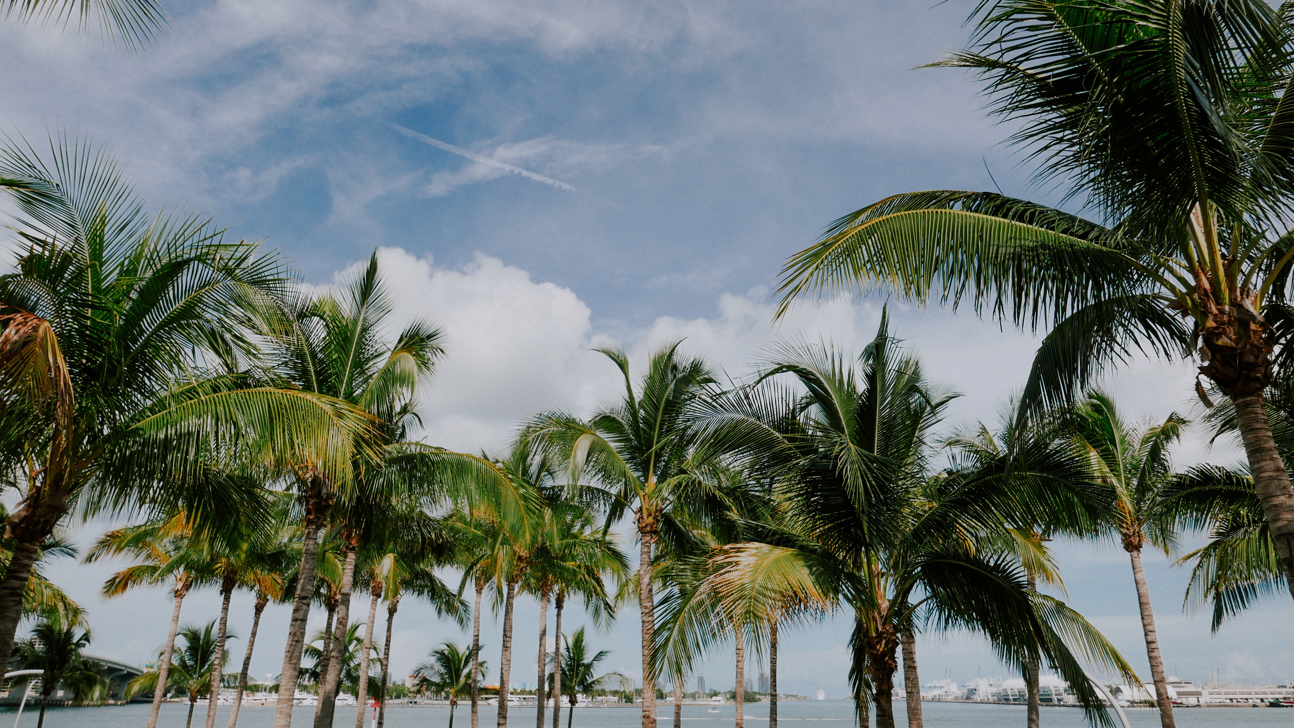 Майами. Фотограф в Москве Гончарова Анастасия
