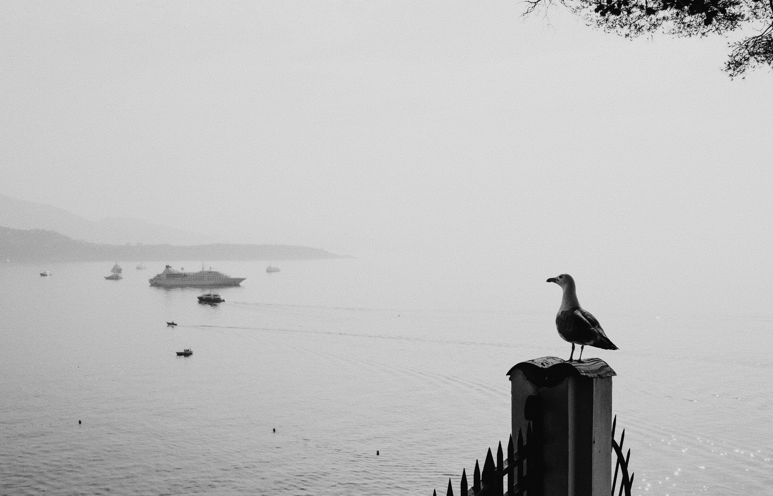 Франция, Монако, Италия. Фотограф в Москве Гончарова Анастасия