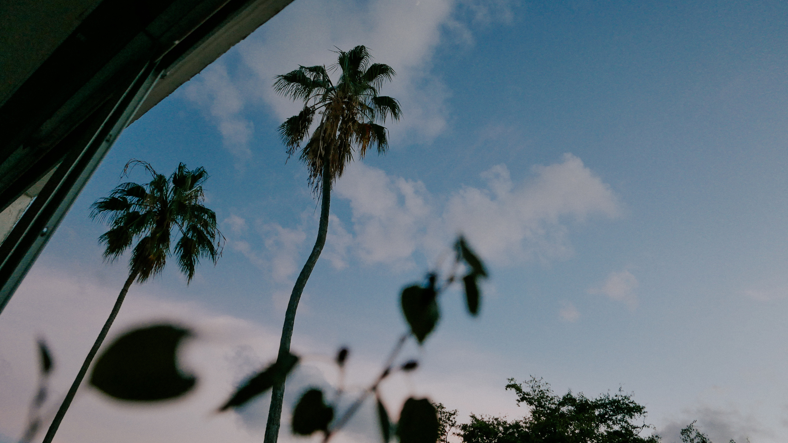 Майами. Фотограф в Москве Гончарова Анастасия