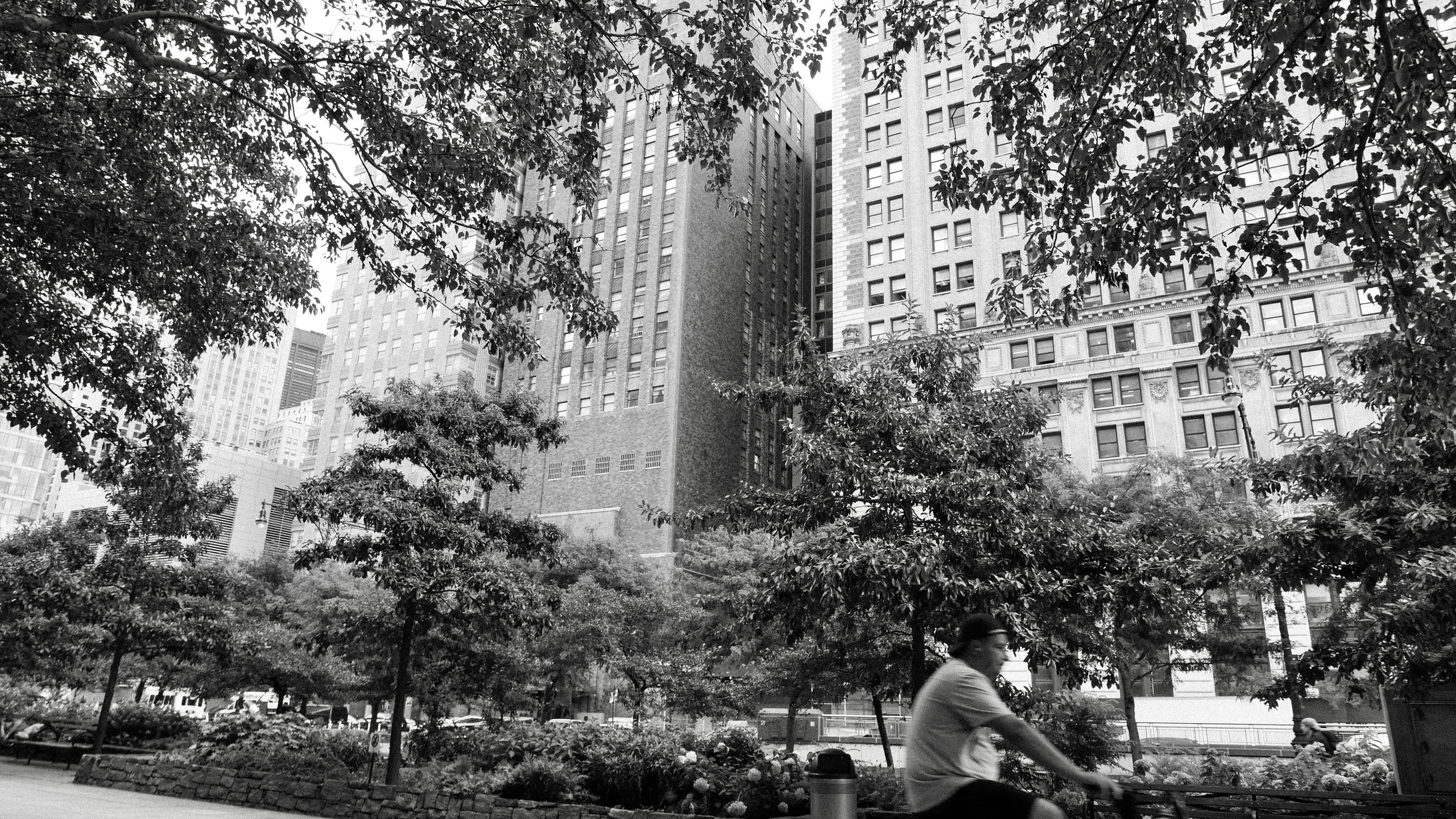 Нью-Йорк. Фотограф в Москве Гончарова Анастасия