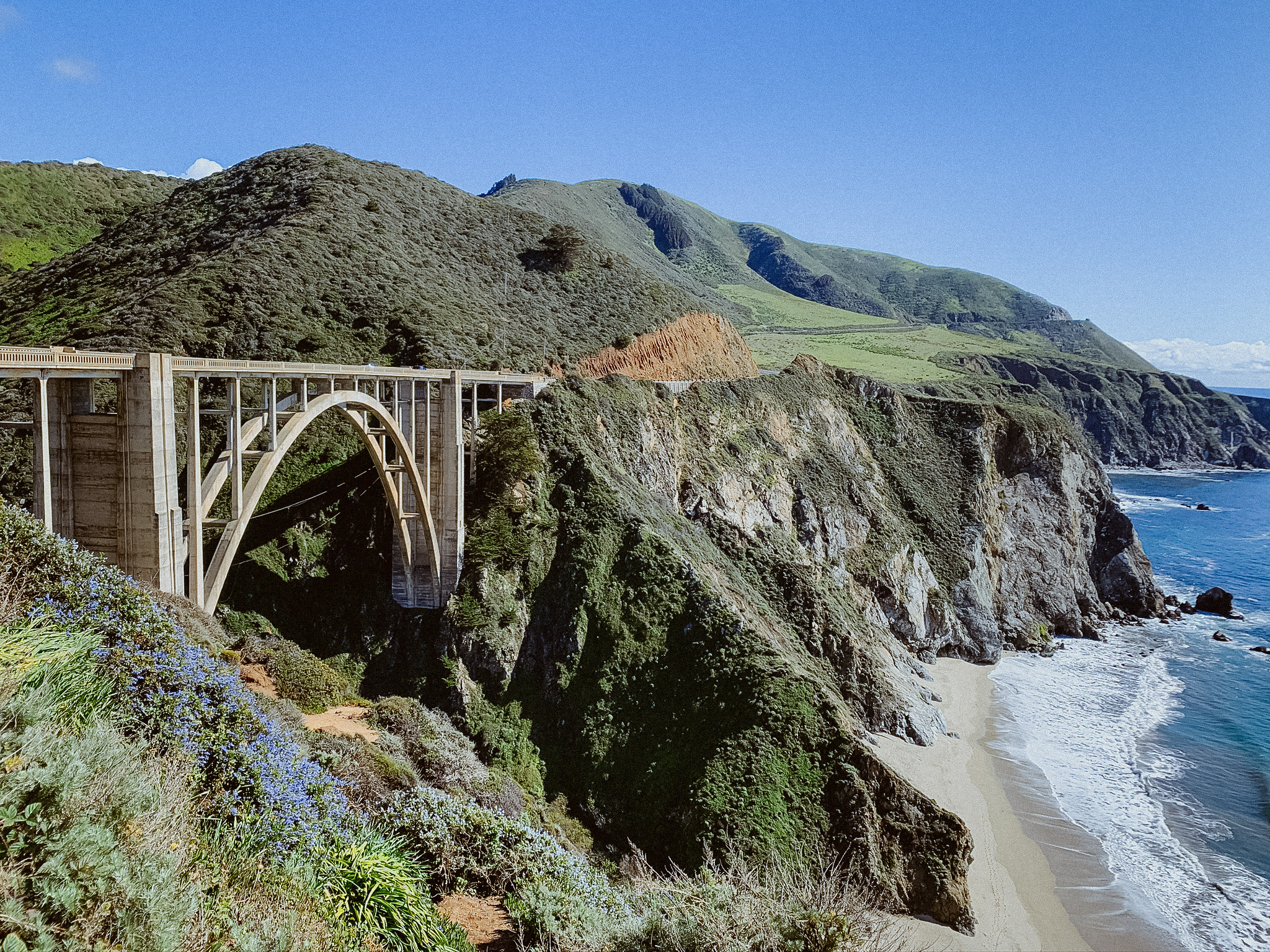Калифорния. Фотограф в Москве Гончарова Анастасия