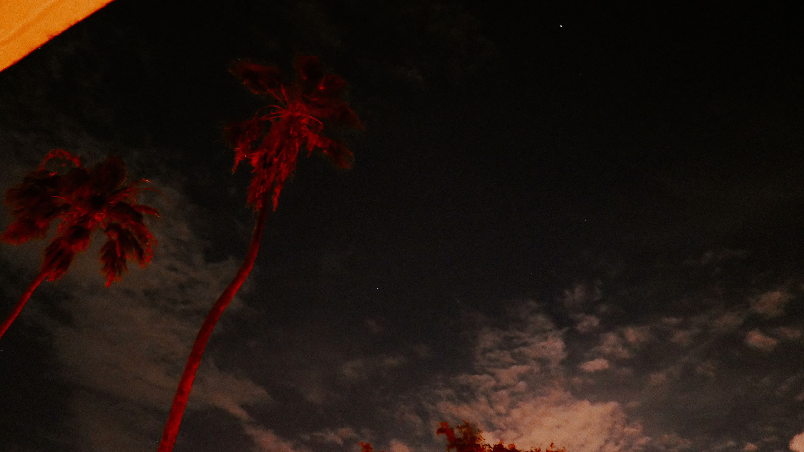 Майами. Фотограф в Москве Гончарова Анастасия