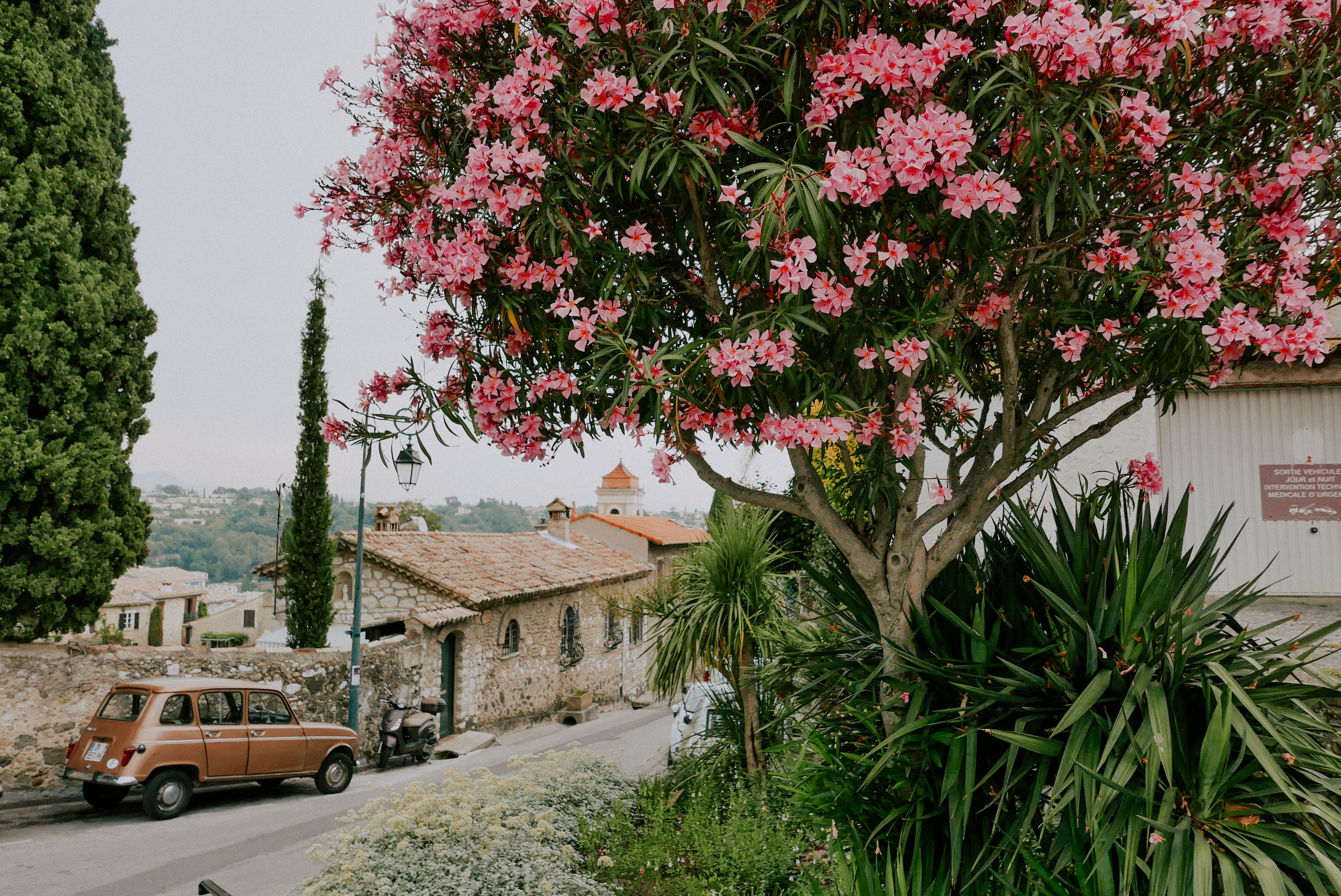 Франция, Монако, Италия. Фотограф в Москве Гончарова Анастасия