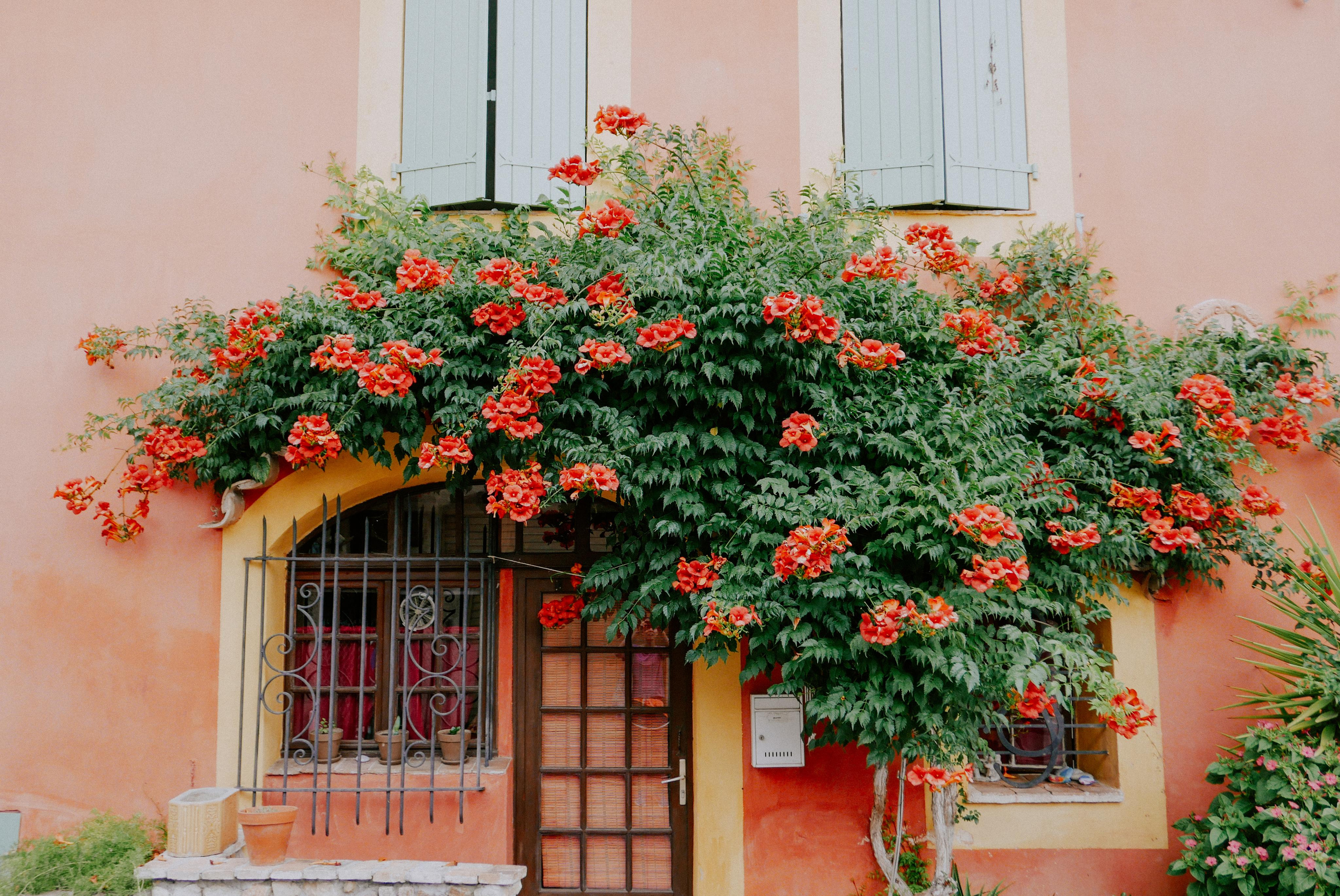 Франция, Монако, Италия. Фотограф в Москве Гончарова Анастасия