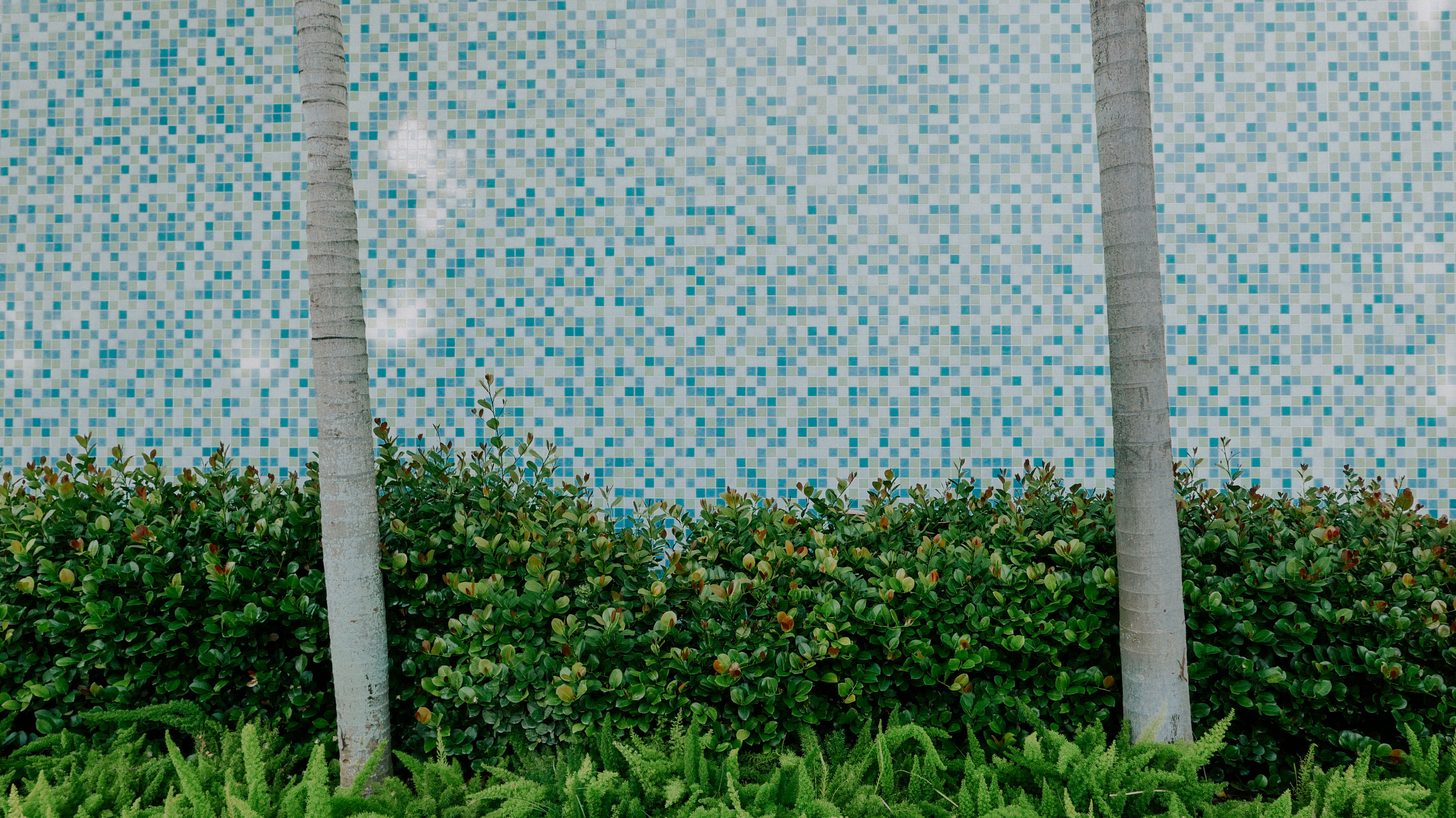 Майами. Фотограф в Москве Гончарова Анастасия