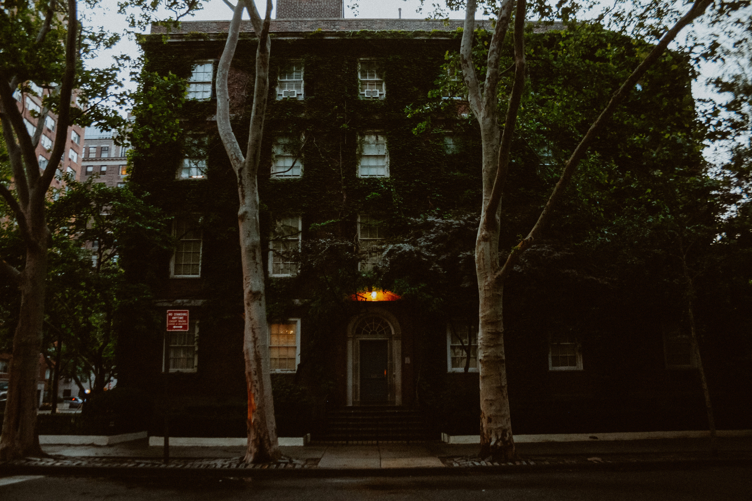 Нью-Йорк. Фотограф в Москве Гончарова Анастасия