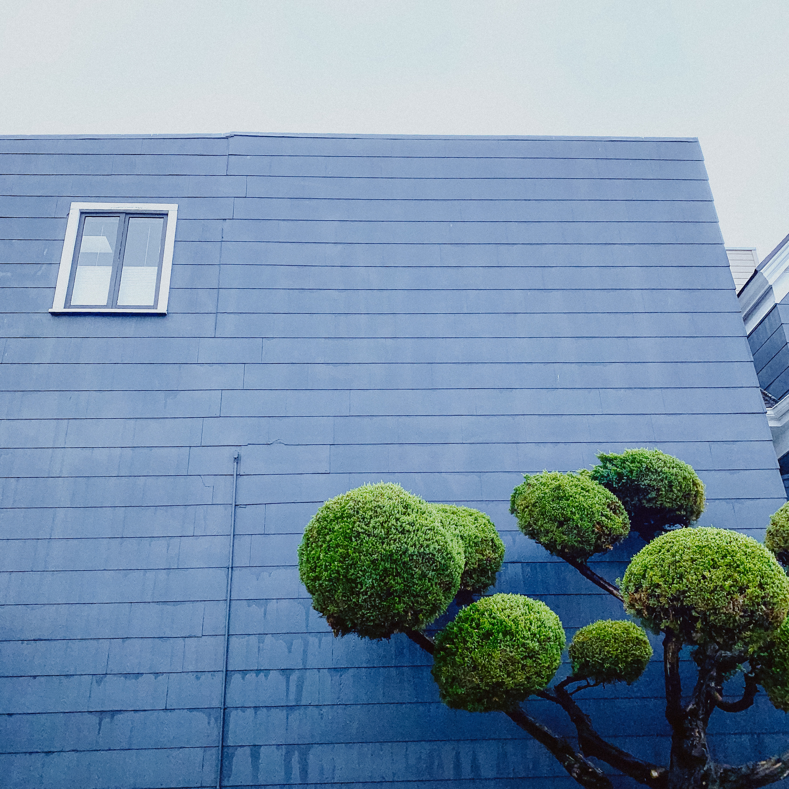 Калифорния. Фотограф в Москве Гончарова Анастасия