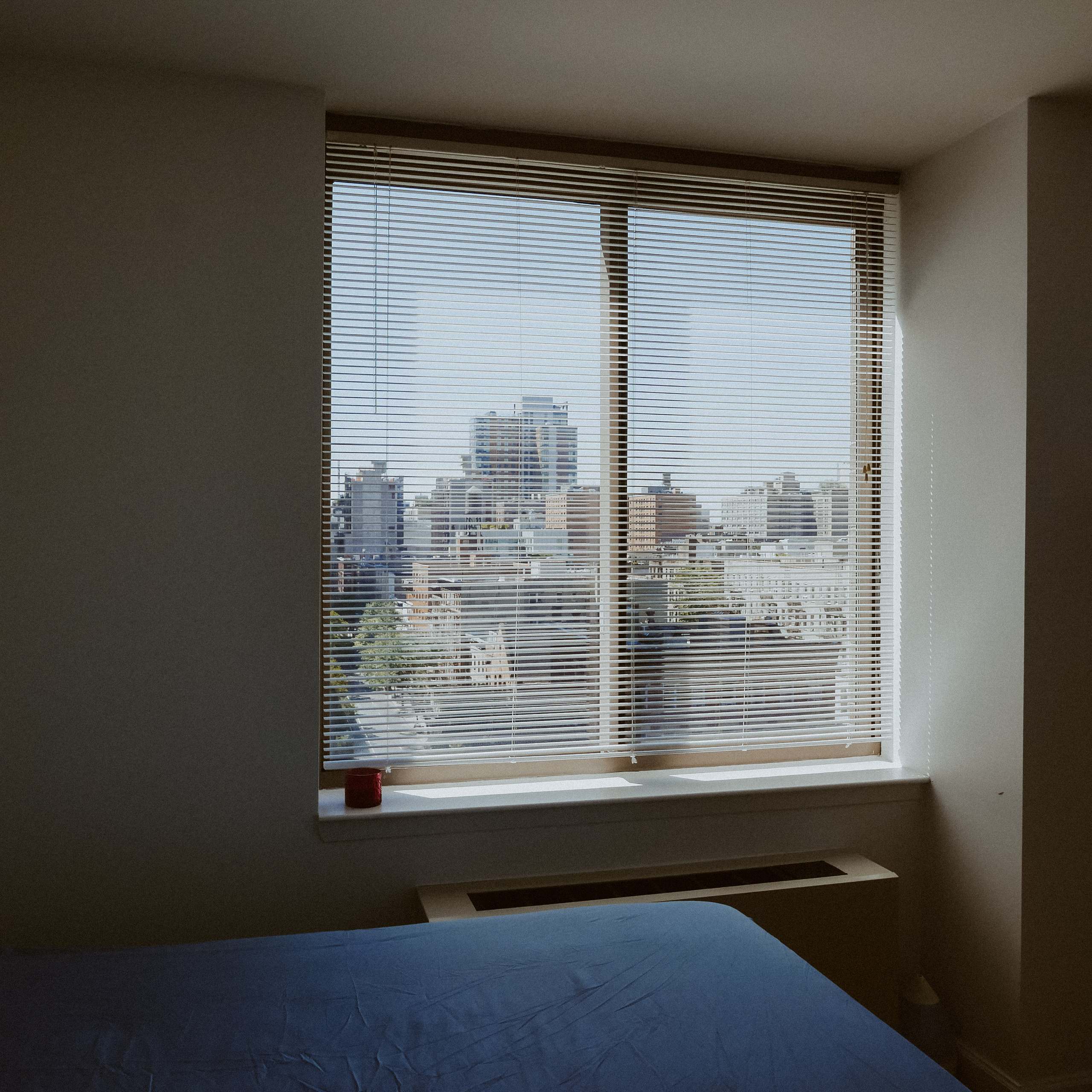 Нью-Йорк. Фотограф в Москве Гончарова Анастасия