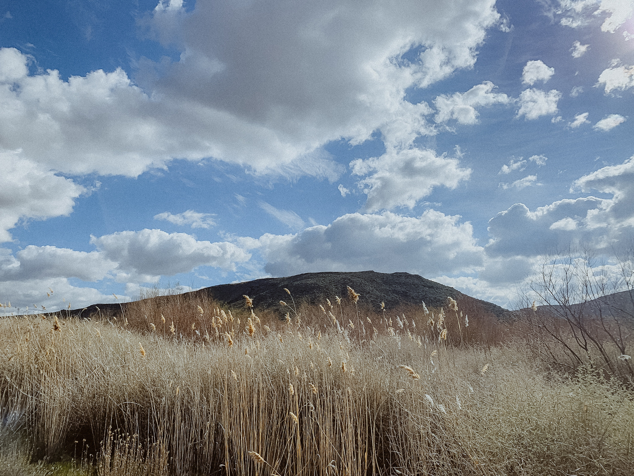 Калифорния. Фотограф в Москве Гончарова Анастасия