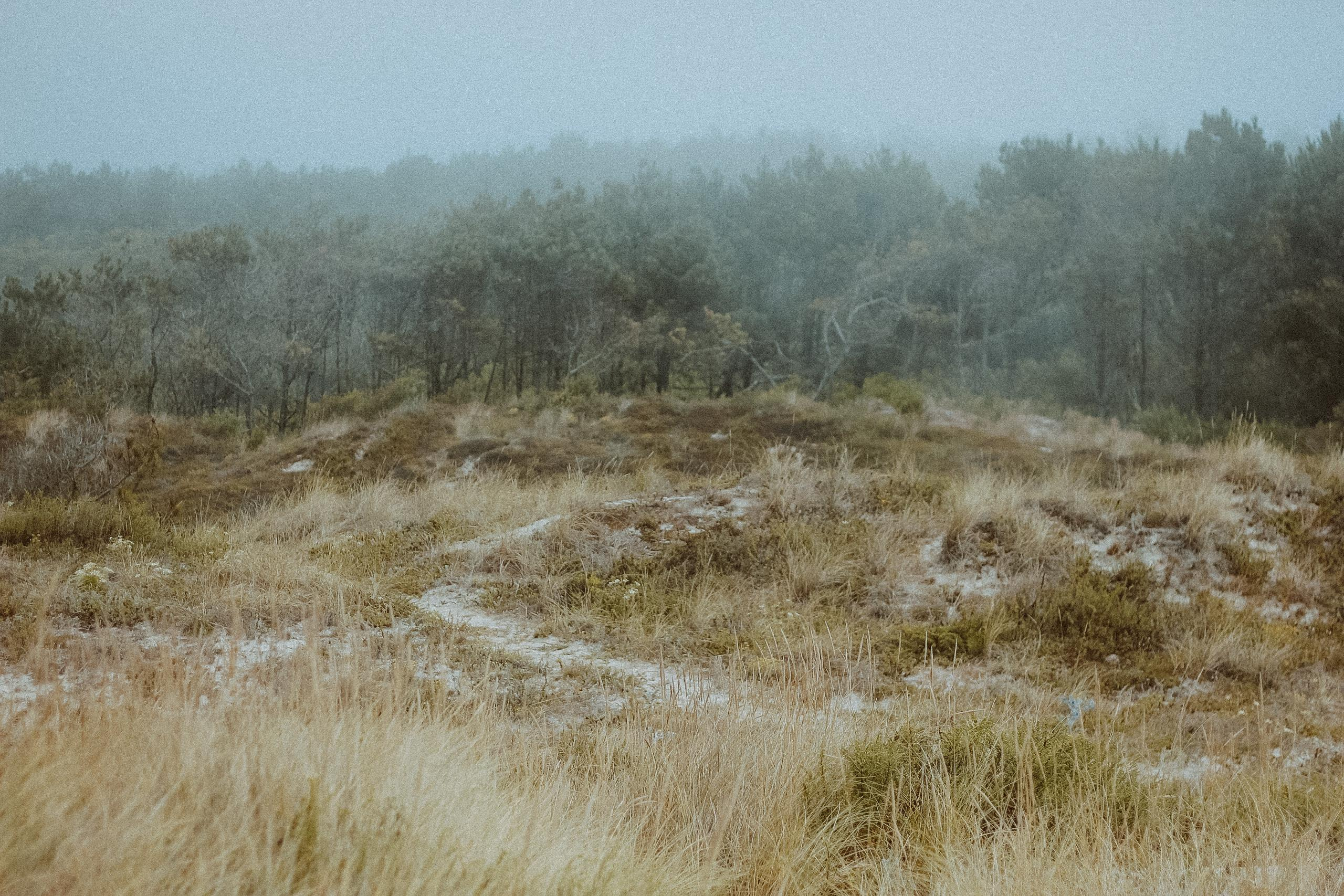 Обо мне. Фотограф в Москве Гончарова Анастасия
