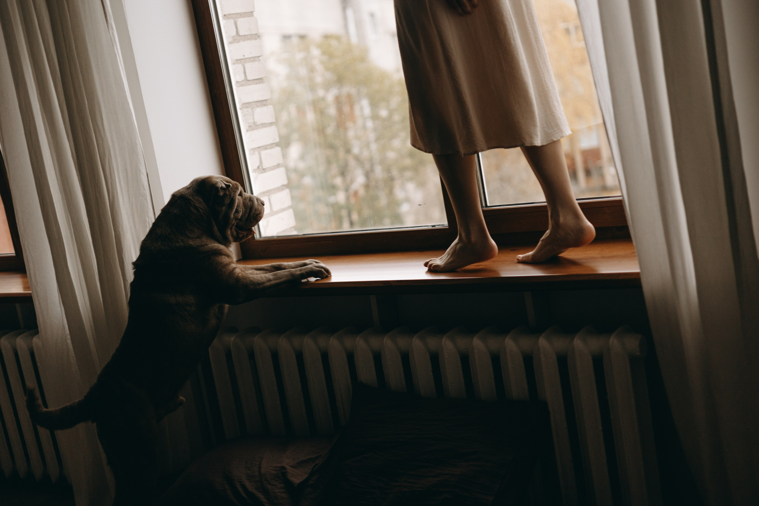 Ульяна и Вагнер. Фотограф — Анималист | Санкт-Петербург