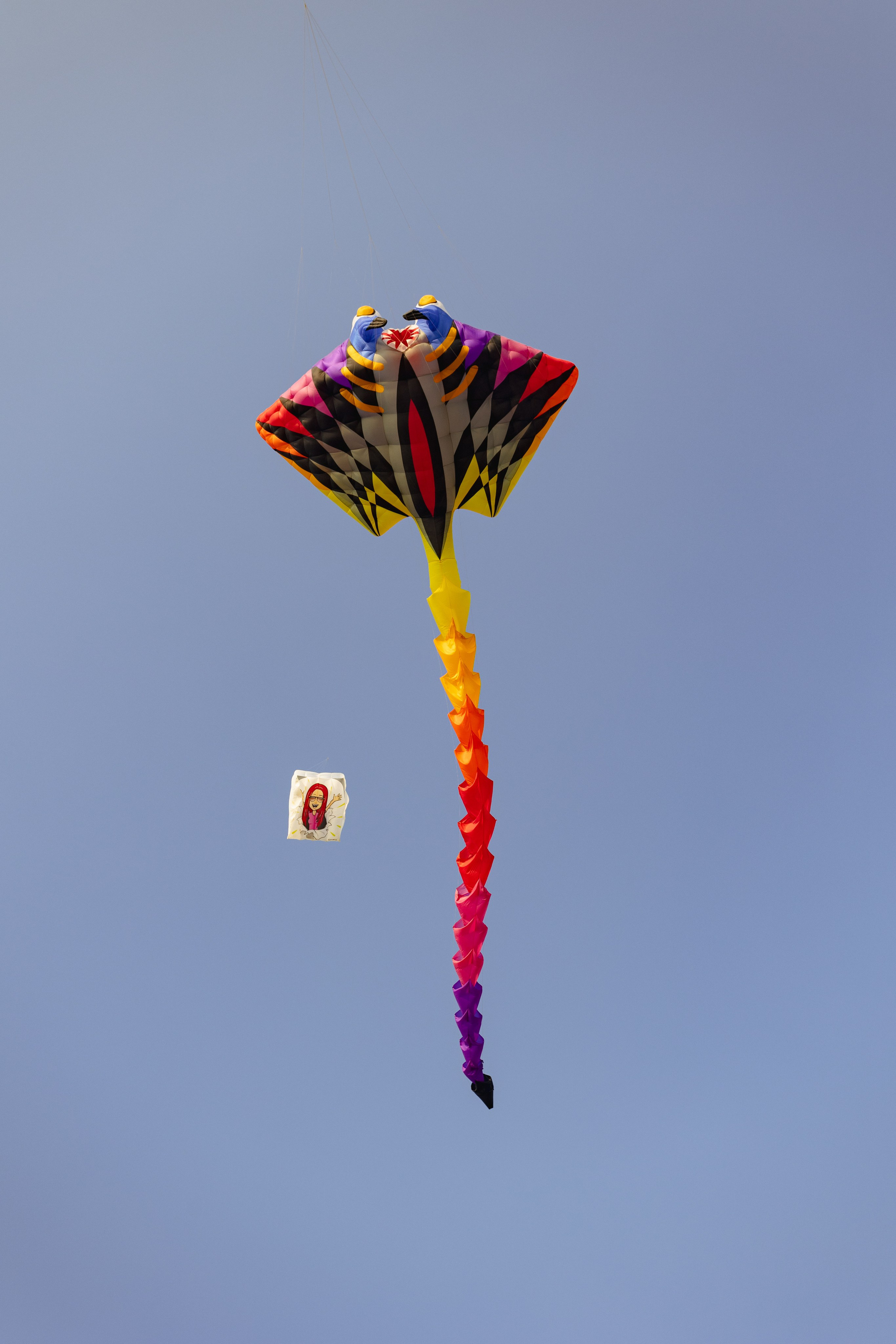 PATTAYA INTERNATIONAL KITE ON THE BEACH 2024. Photographer Sonkina Tatiana (Tanya Ash)