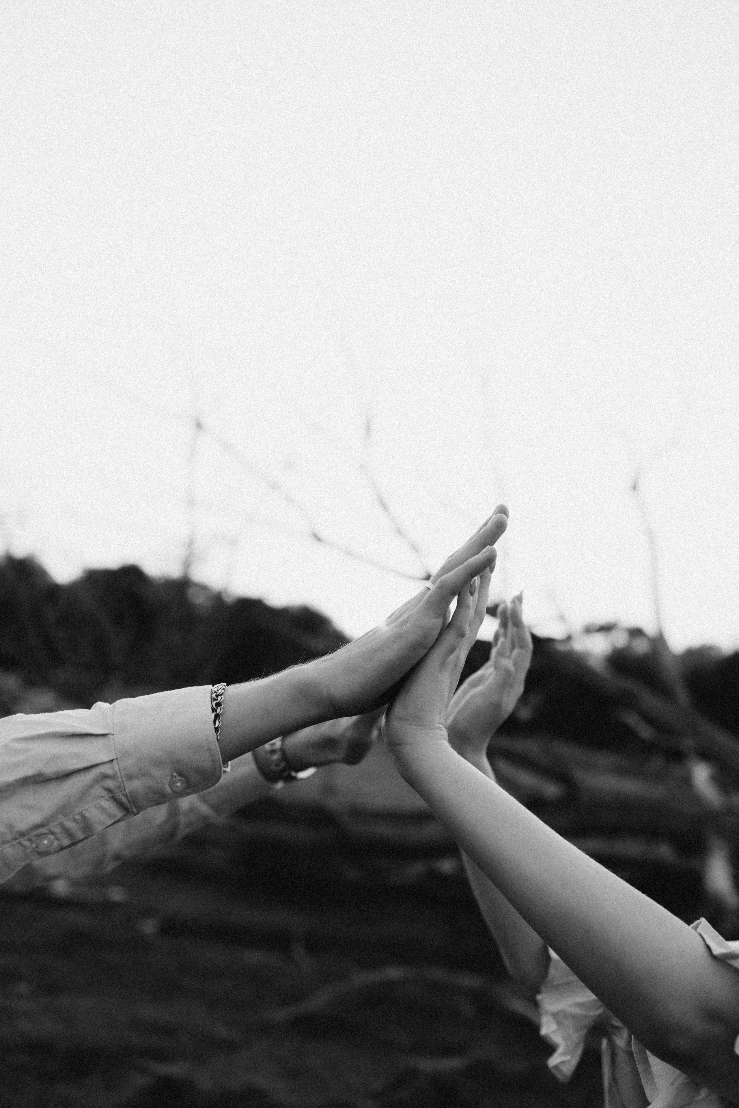 Марина и Максим. Фотограф в Туле и Алексине Стулова Мария