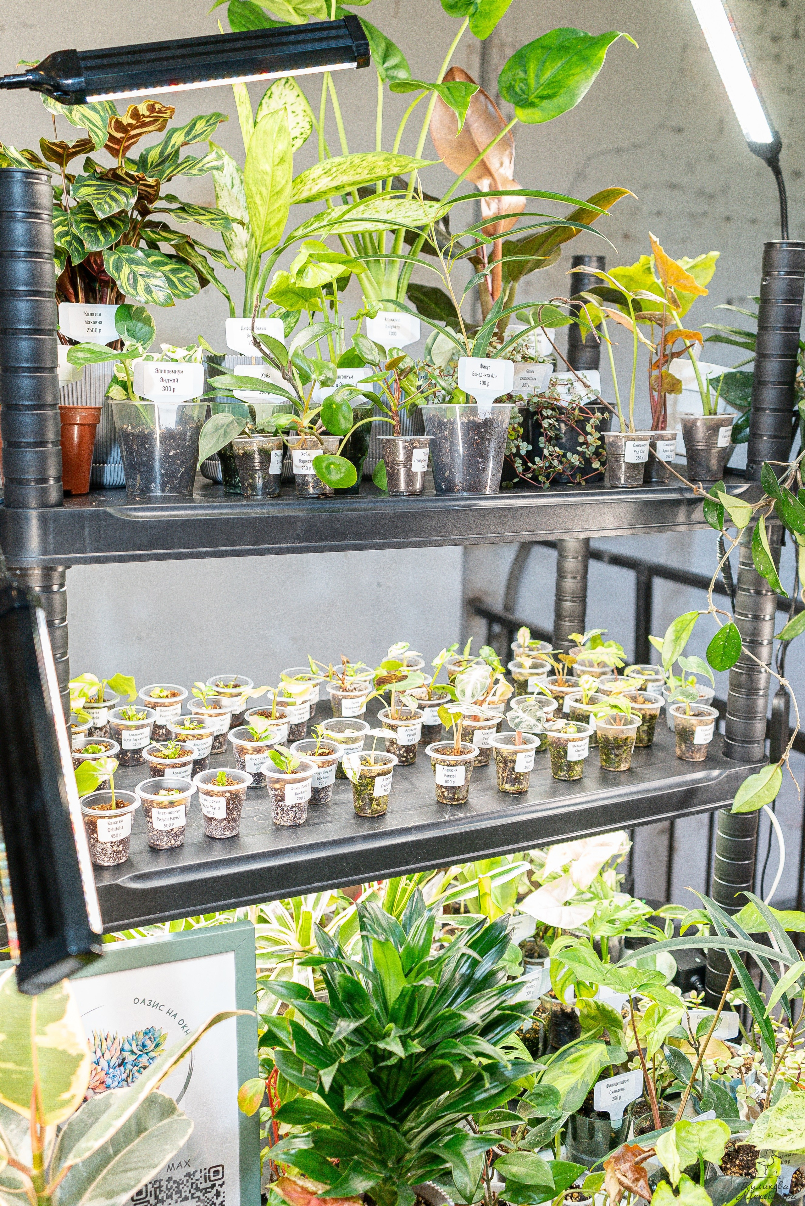 Гроубокс Артплей апрель. Александра Куликова фотограф, Москва