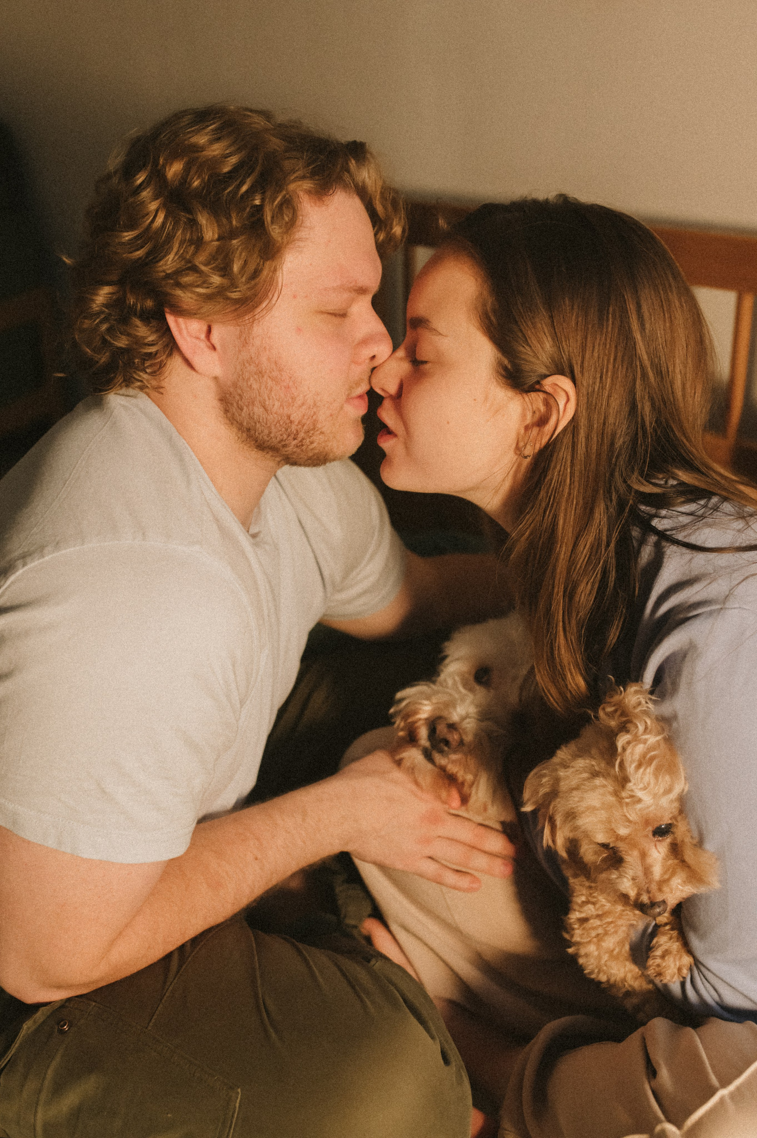 Ання и её кудрявая команда. Фотограф анималист в Москве Ольга Агушева