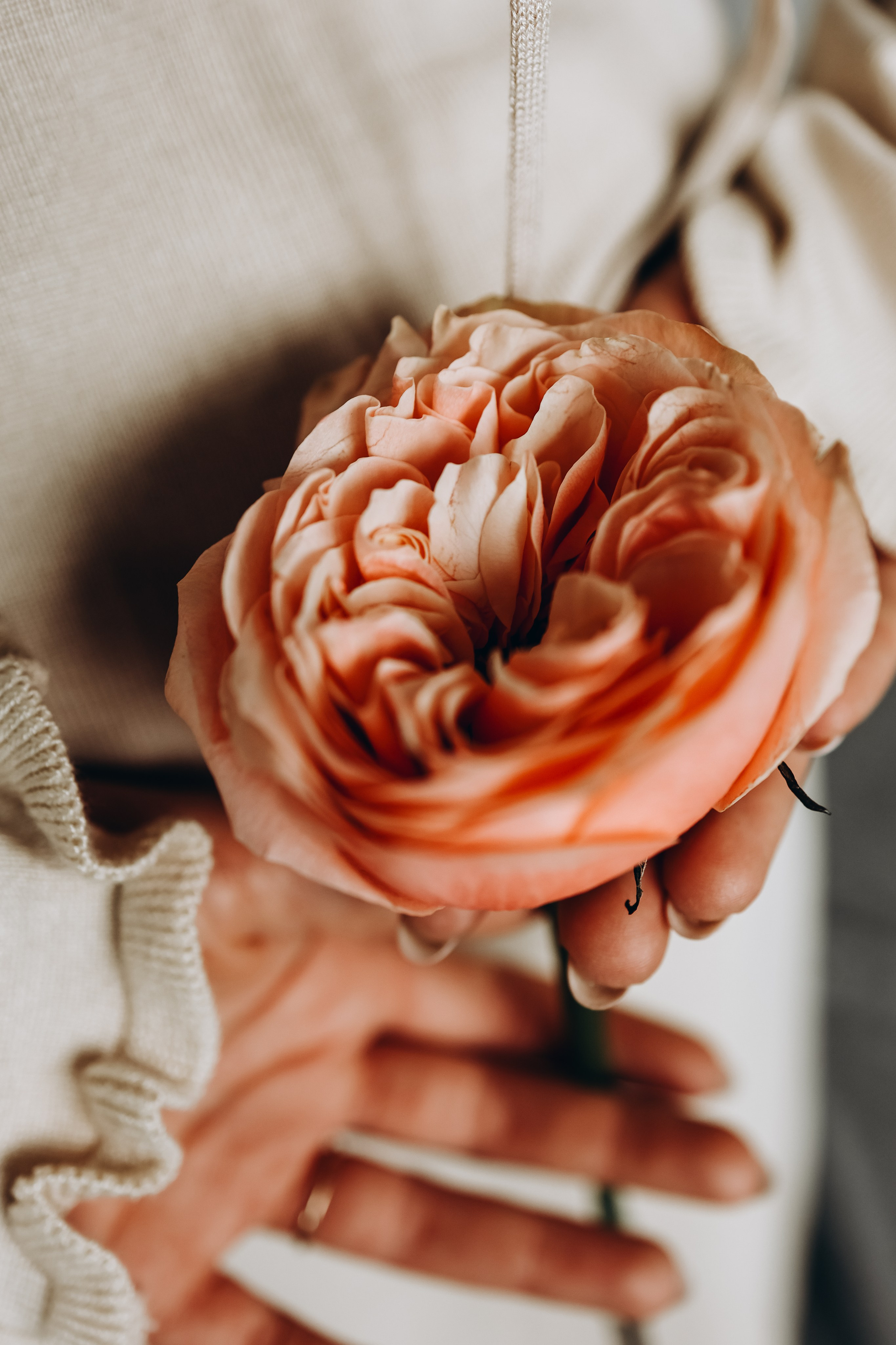 Алина. Свадебный и семейный фотограф в Воронеже Ксения Воротникова