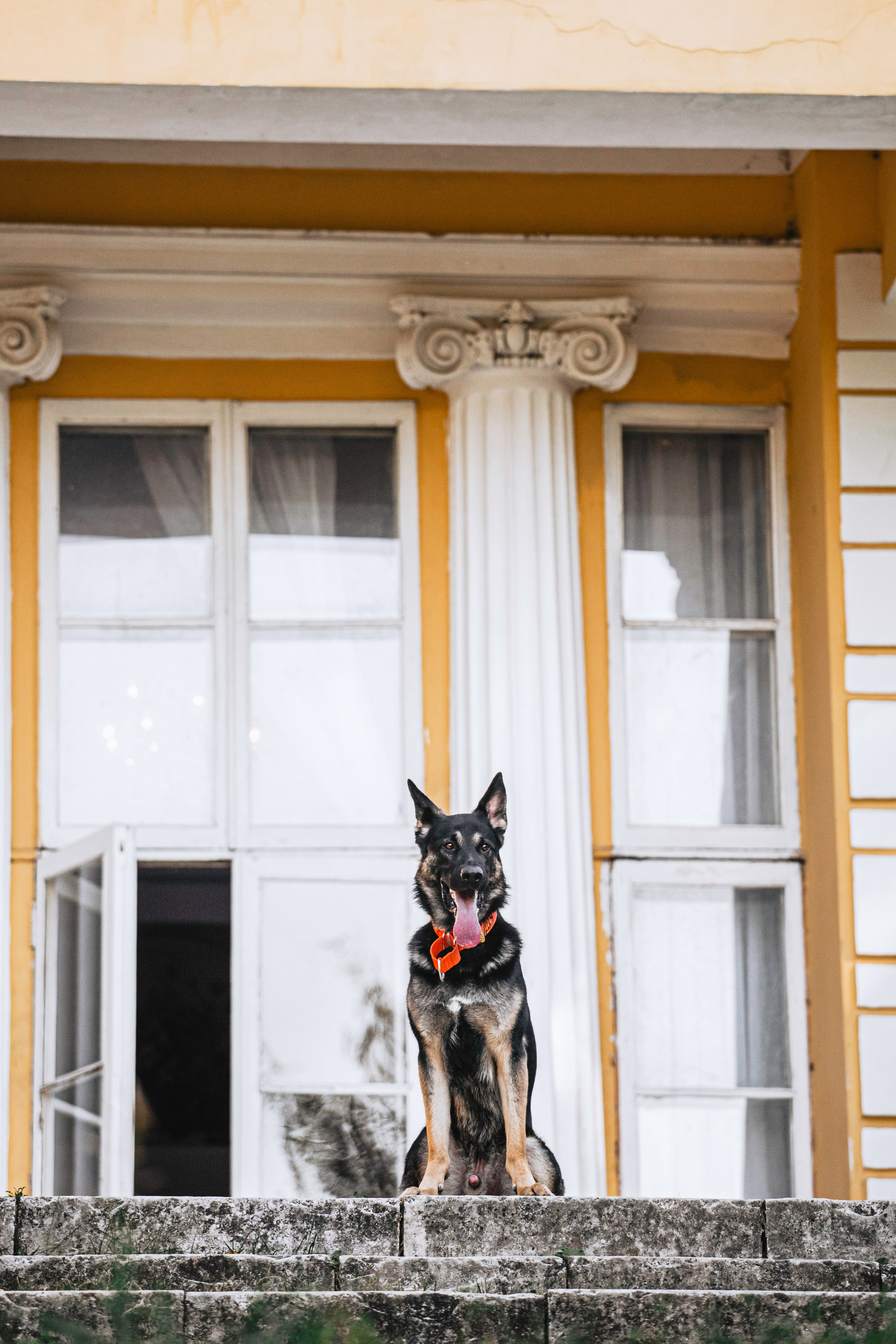 Илай. Фотограф-анималист Татьяна Степанова