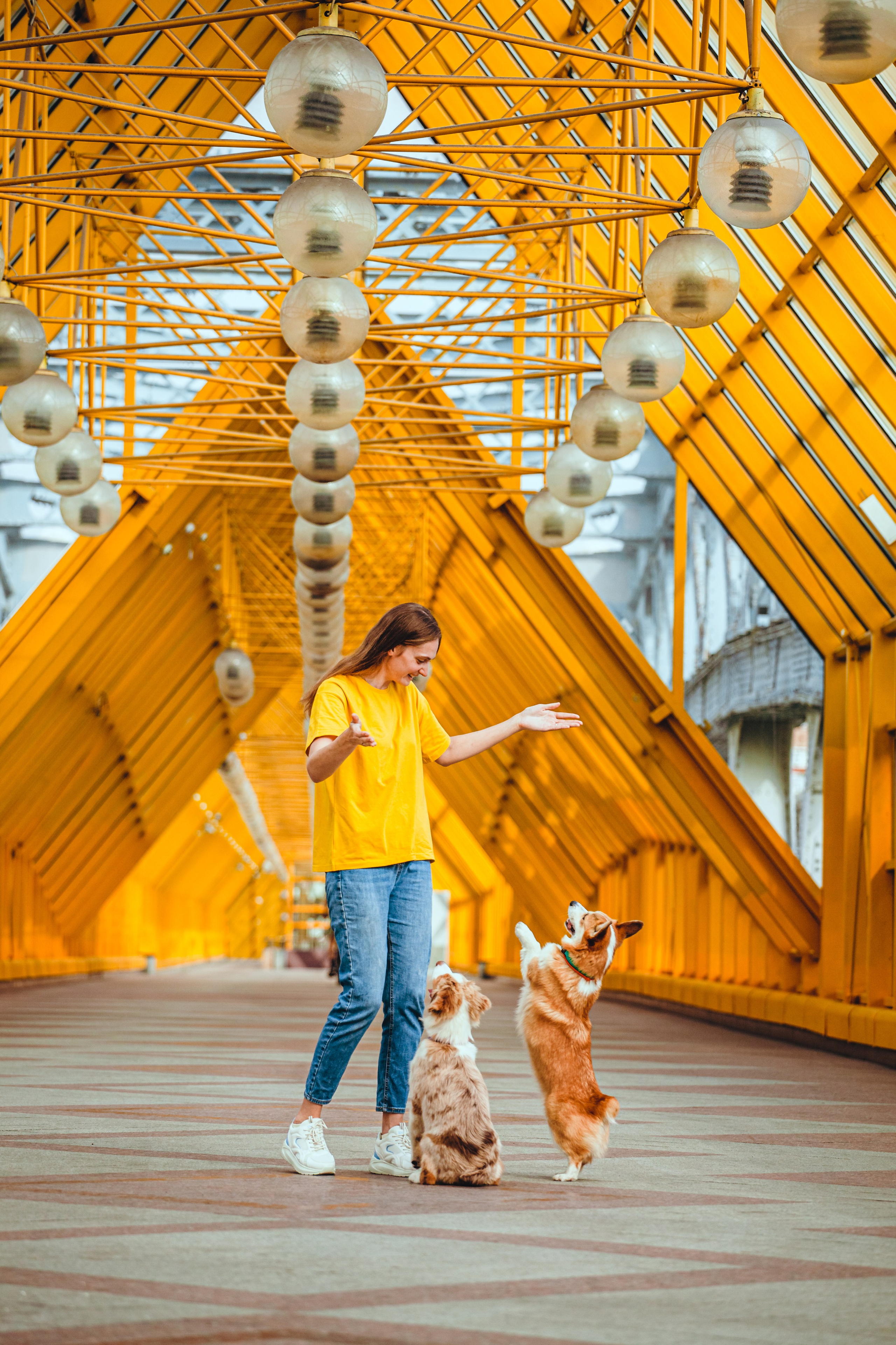 Андреевский мост. Фотограф-анималист Татьяна Степанова